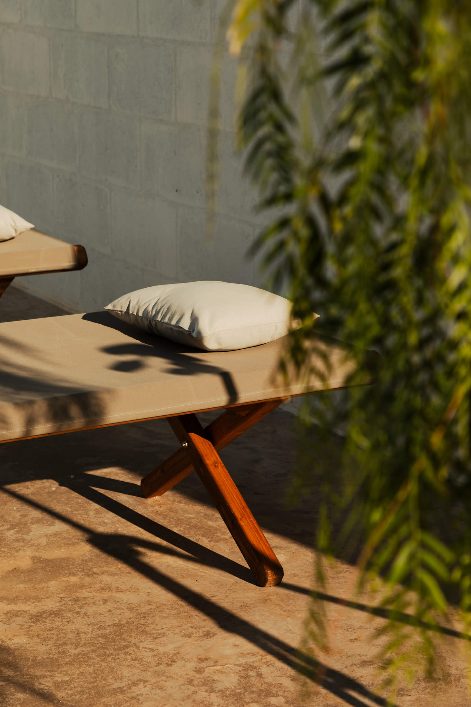 Casanguilla, Europe — Wooden bench with cream cushion casting shadows against white brick wall, climbing ivy detail in afternoon light.