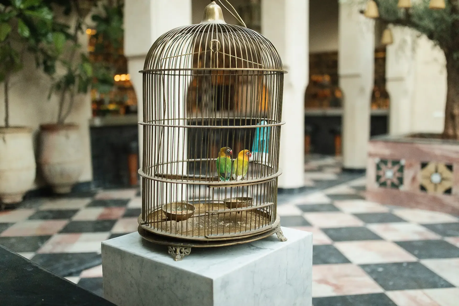 El Fenn, Marrakech, Morocco — Brass birdcage with green and yellow parakeets on marble pedestal in geometric-tiled courtyard with colonnade.