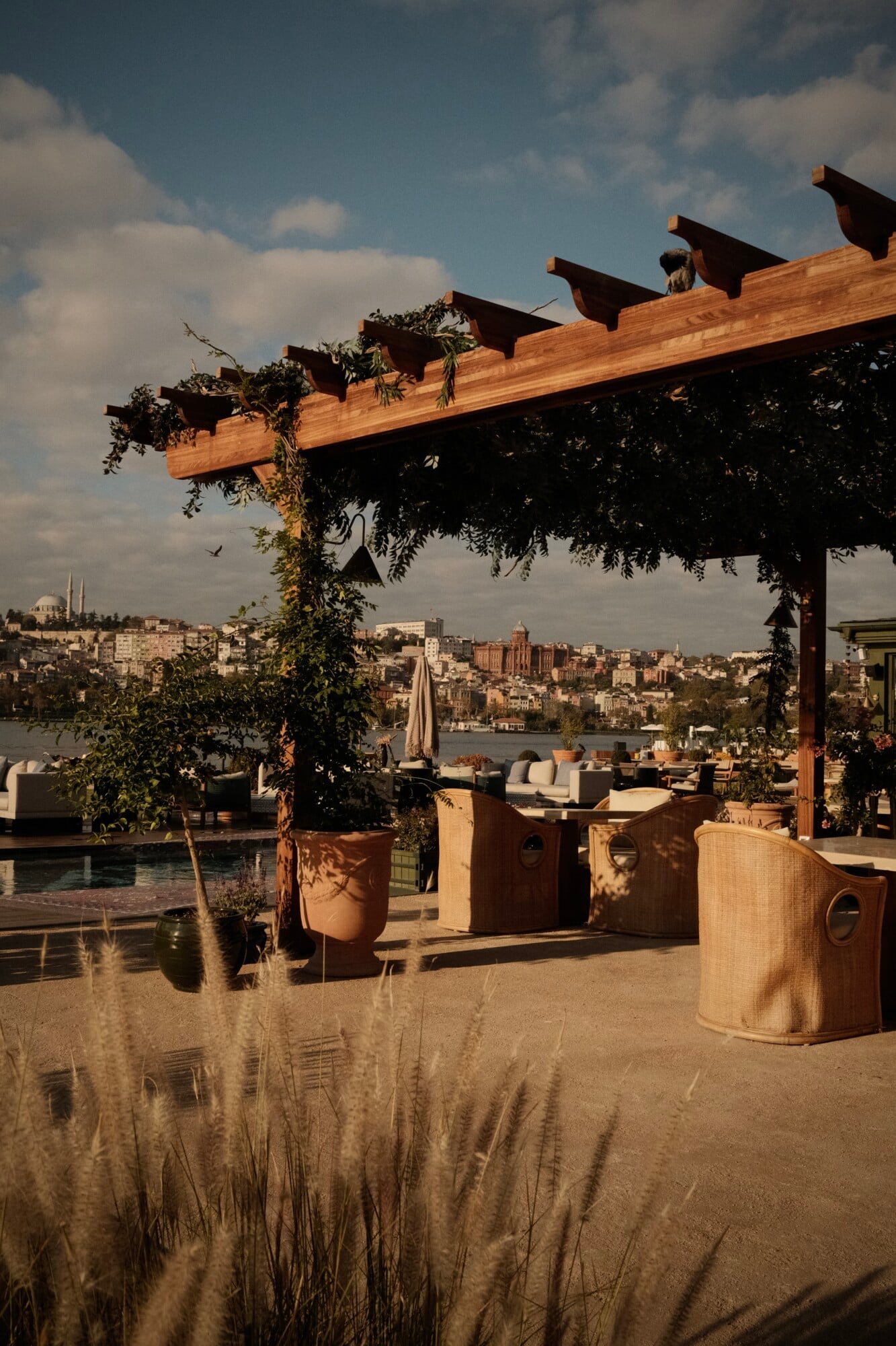 Swim Club, Asia — wooden pergola with climbing vines overlooking waterfront city skyline, terrazzo planters, sand-colored surfaces, afternoon light.