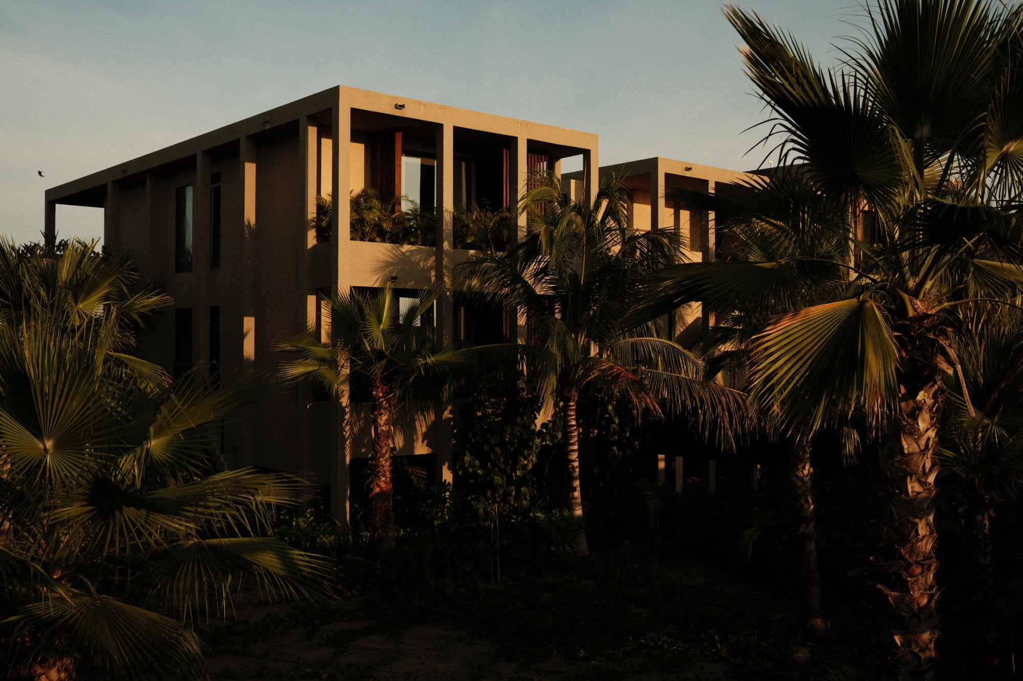 Rosewood Mandarina, Mexico — Modern geometric architecture with warm ochre facade and expansive windows surrounded by palm trees at golden hour.