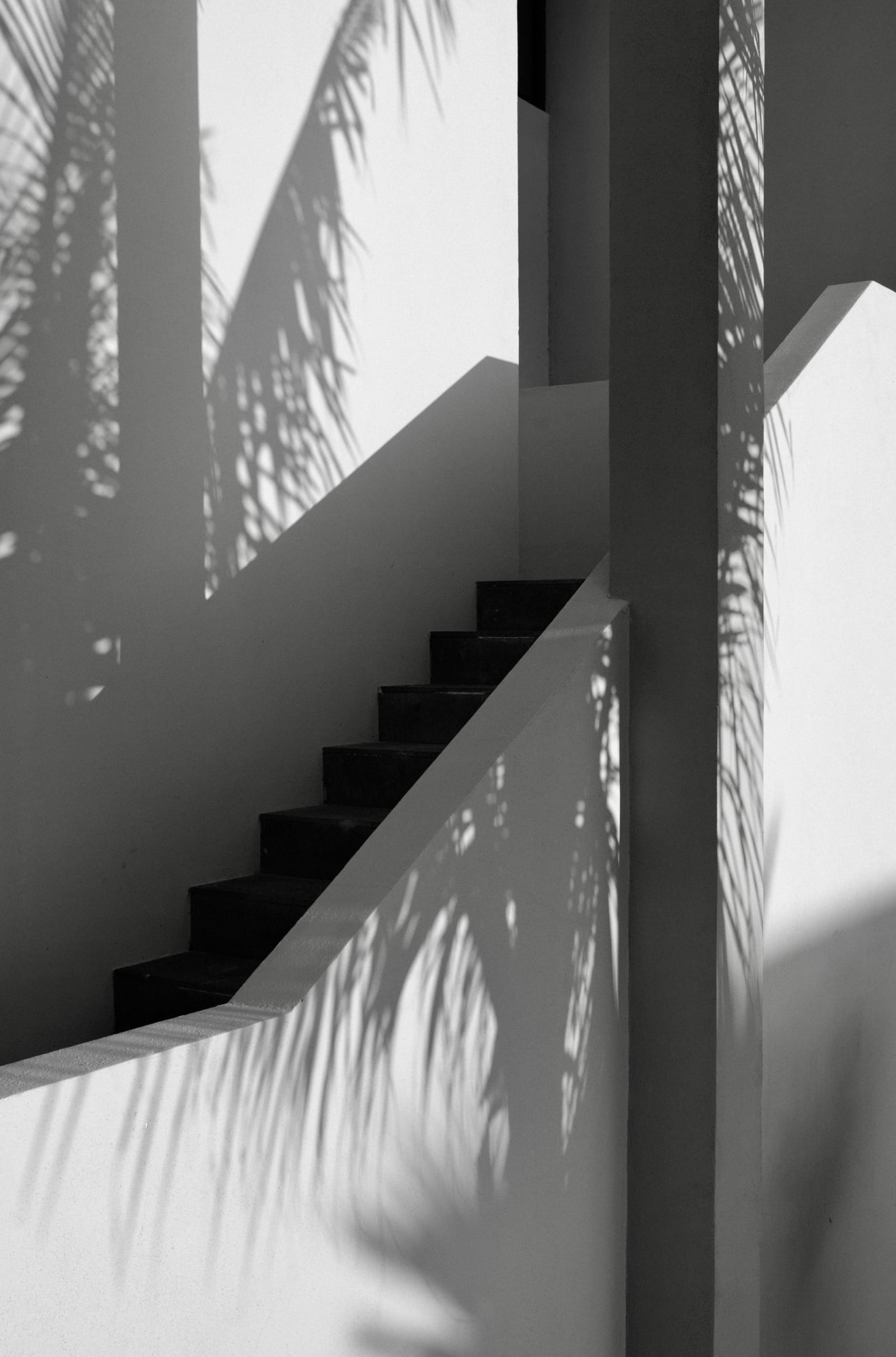 Rosewood Mandarina, Mexico — Minimalist staircase with dramatic palm shadow patterns cast across white walls and black steps, architectural light study.