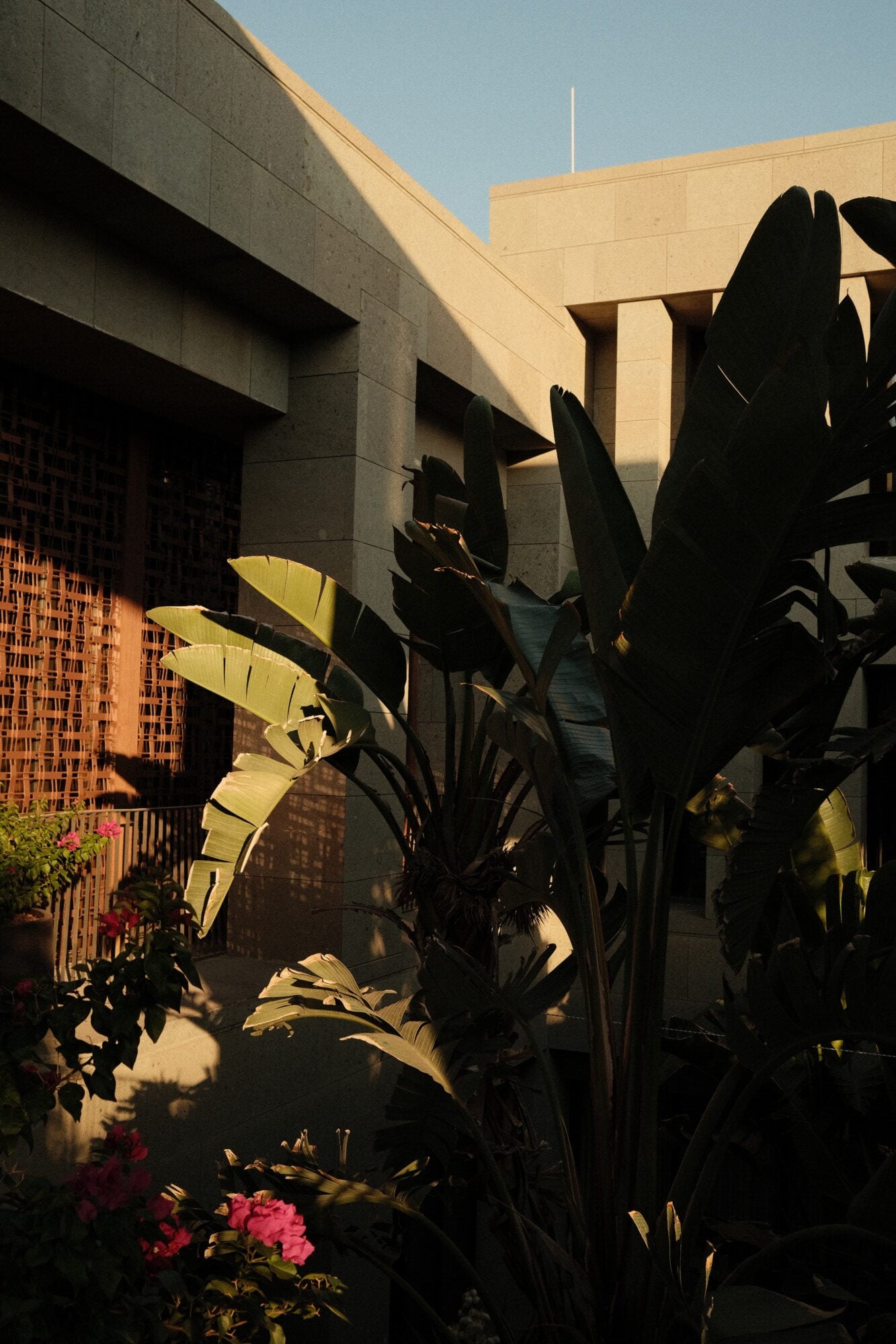 Mandarin Oriental Bodrum, Asia — Tropical plants backlit by golden sunlight against modernist concrete architecture and decorative terracotta screening.