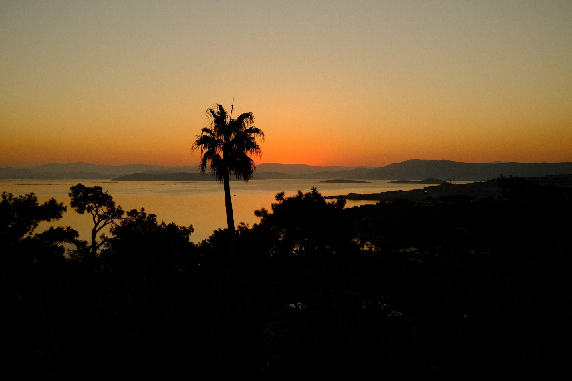 Mandarin Oriental Bodrum, Turkey — Palm tree silhouetted against golden sunset over Aegean Sea with forested coastline and distant mountains at dusk.