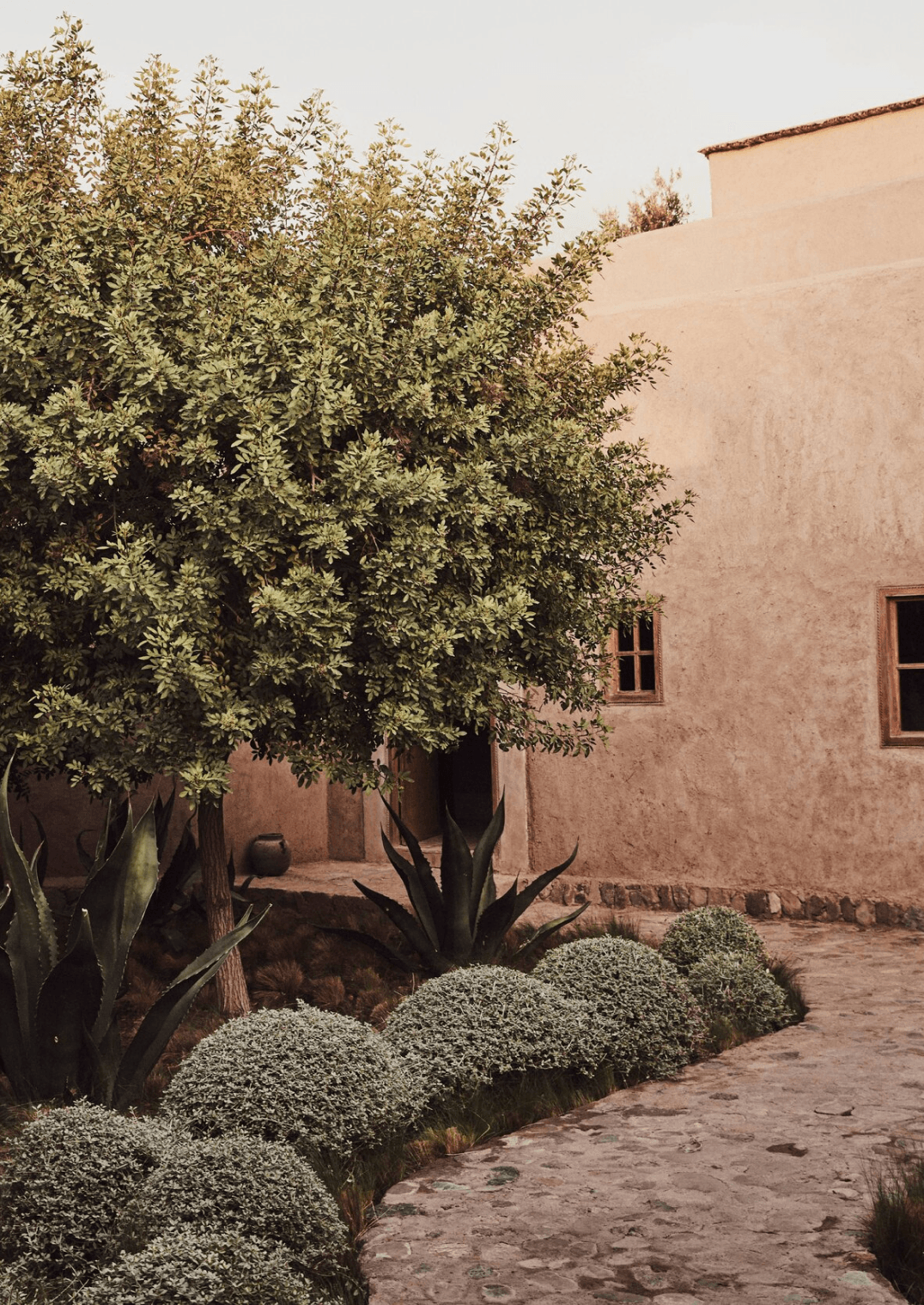 Berber Lodge, Africa — Warm terracotta courtyard with olive tree, agave plants, and manicured shrubs casting soft shadows on clay ground.