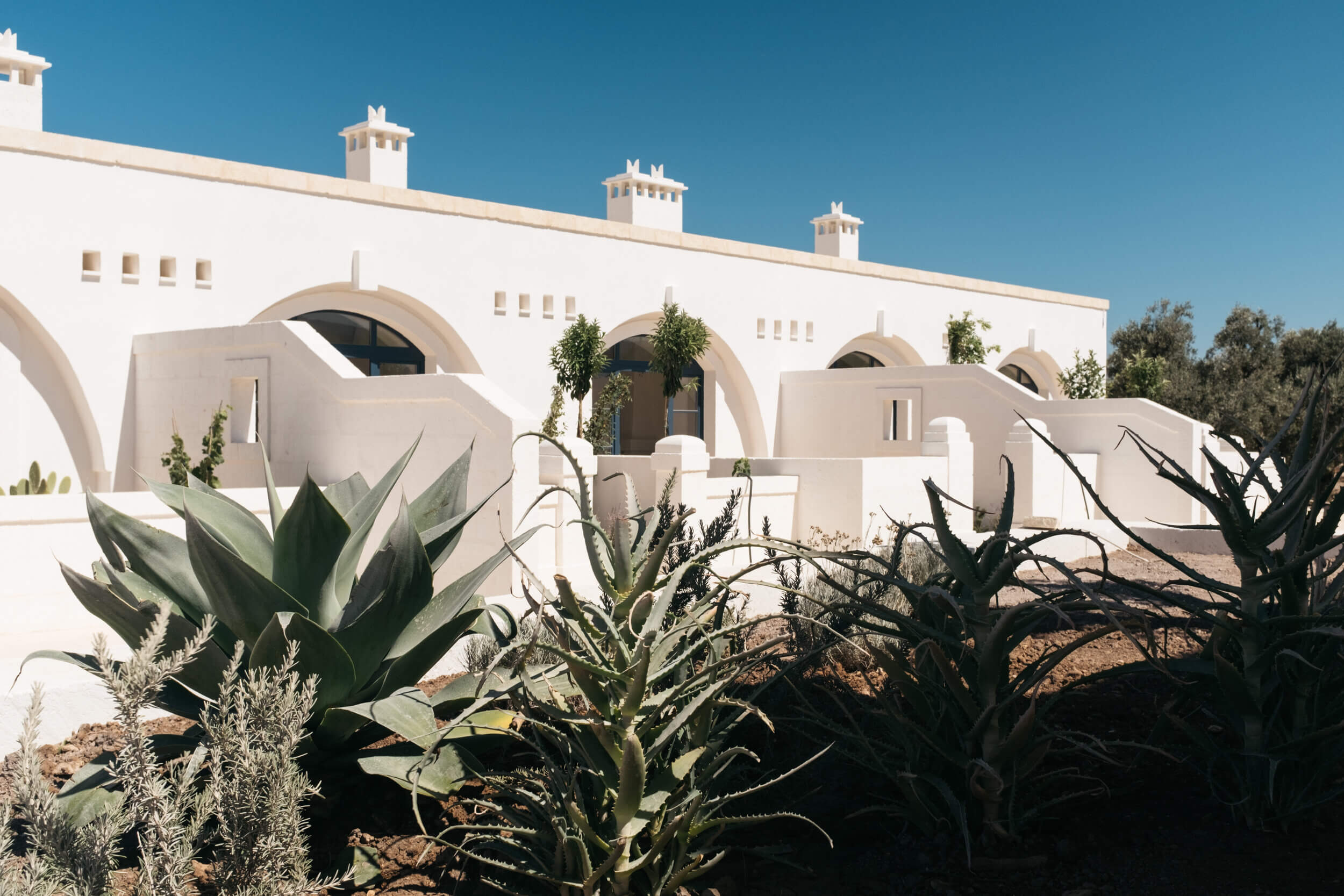 Masseria Calderisi, Europe — Whitewashed arched architecture with sculptural forms, desert plants, clear blue sky, minimalist Mediterranean design.