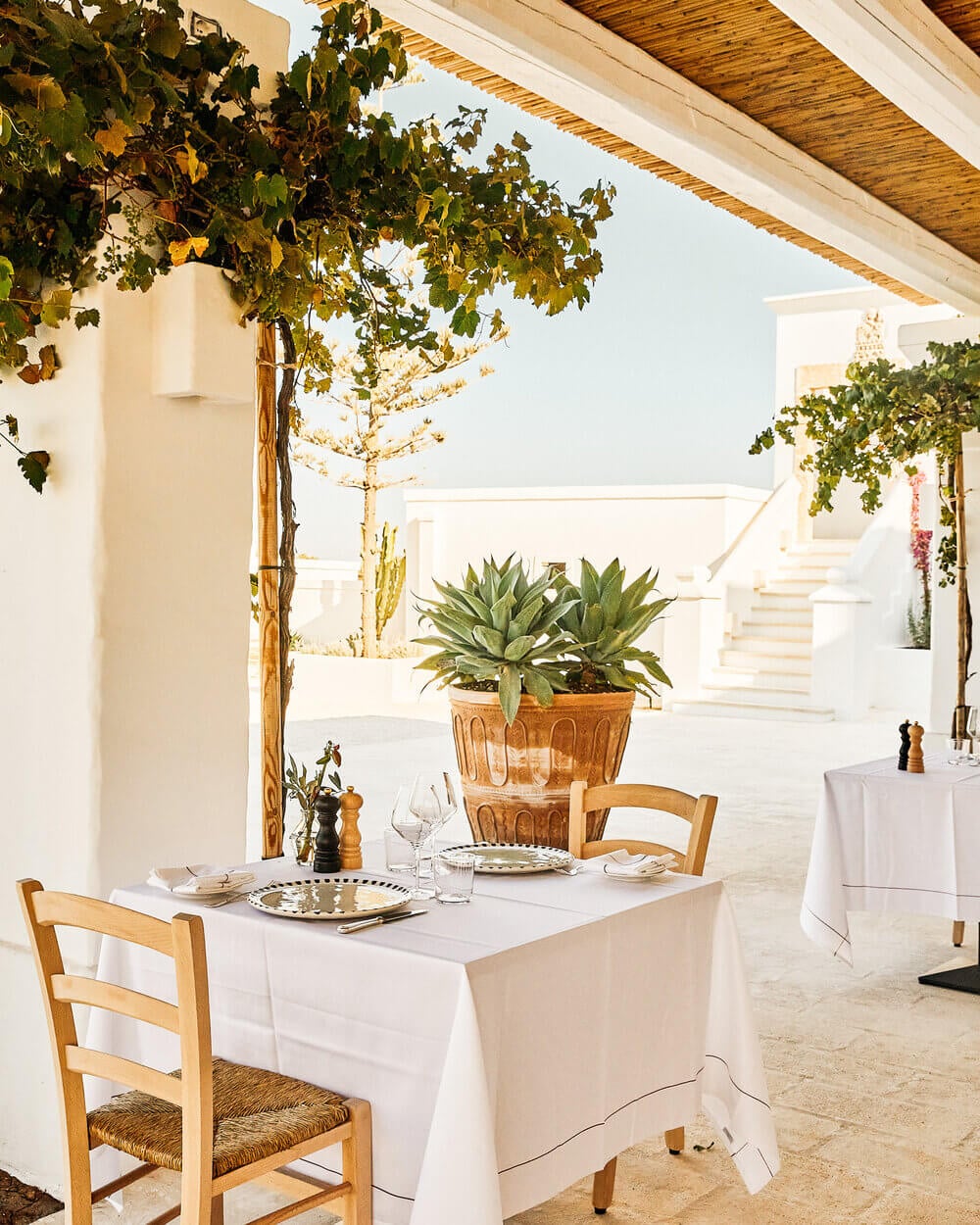 Masseria Calderisi, Europe — Covered terrace with white-draped dining table, wooden chairs, agave plant, climbing vines, whitewashed stone architecture and Mediterranean courtyard.