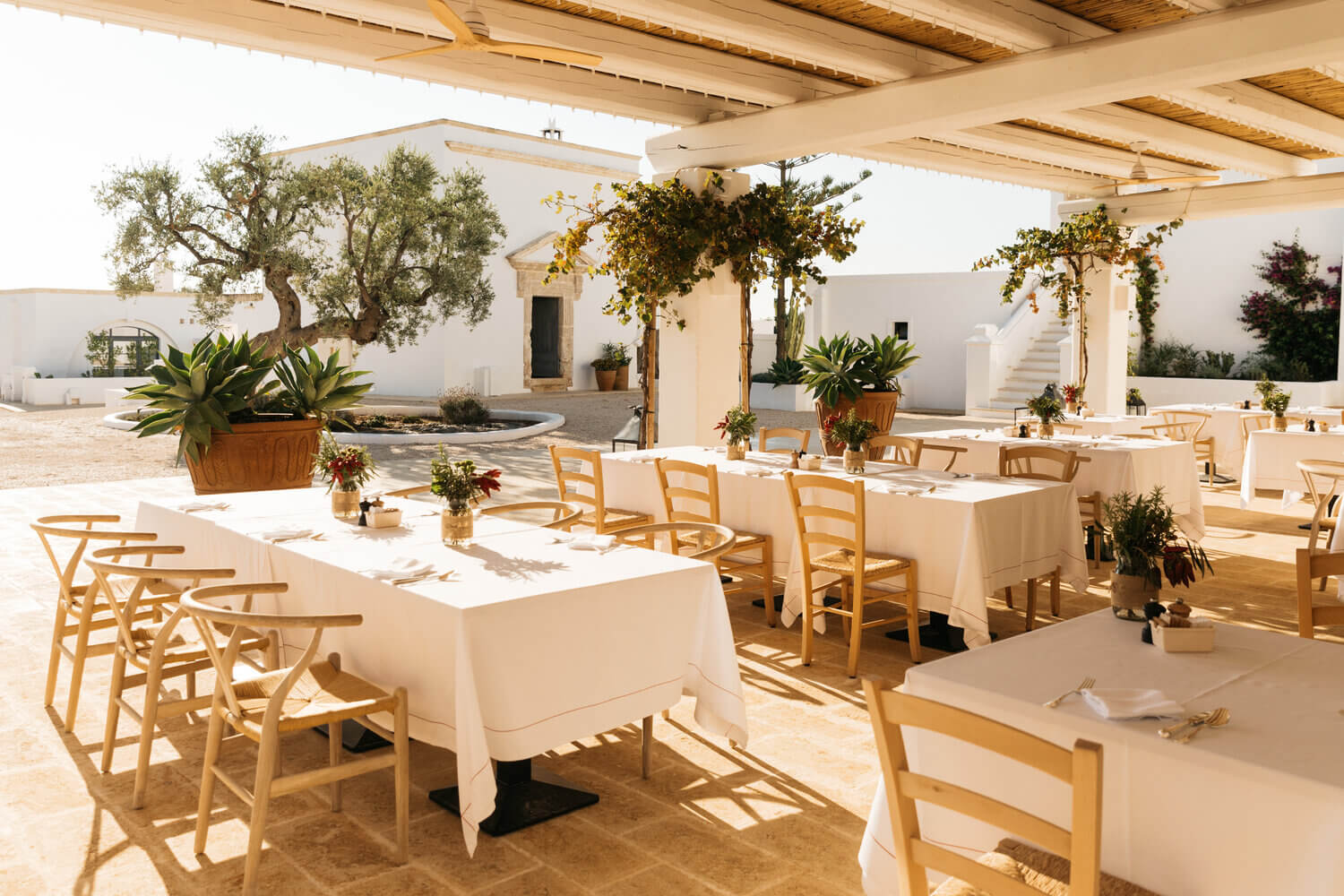 La Corte, Europe — Minimalist courtyard dining under wooden pergola with cream-draped tables, natural wood chairs, terracotta planters, and whitewashed Mediterranean architecture.