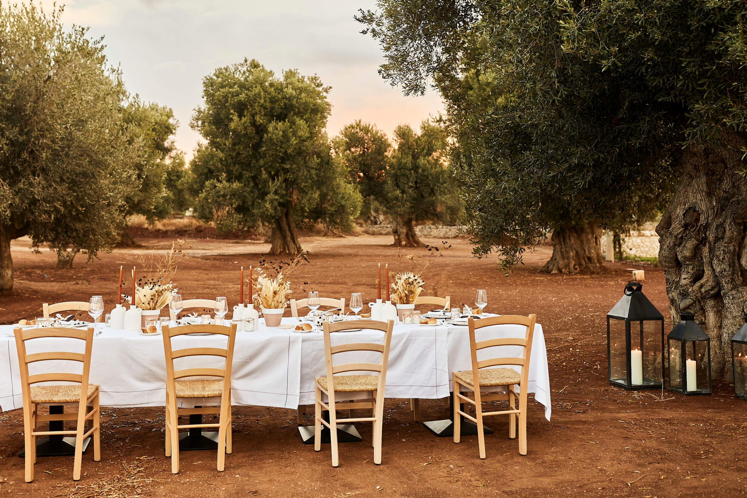 Masseria Calderisi, Europe — Outdoor dining setup beneath ancient olive trees with white-clothed tables, wooden chairs, dried floral arrangements, and lanterns on terracotta grounds at dusk.