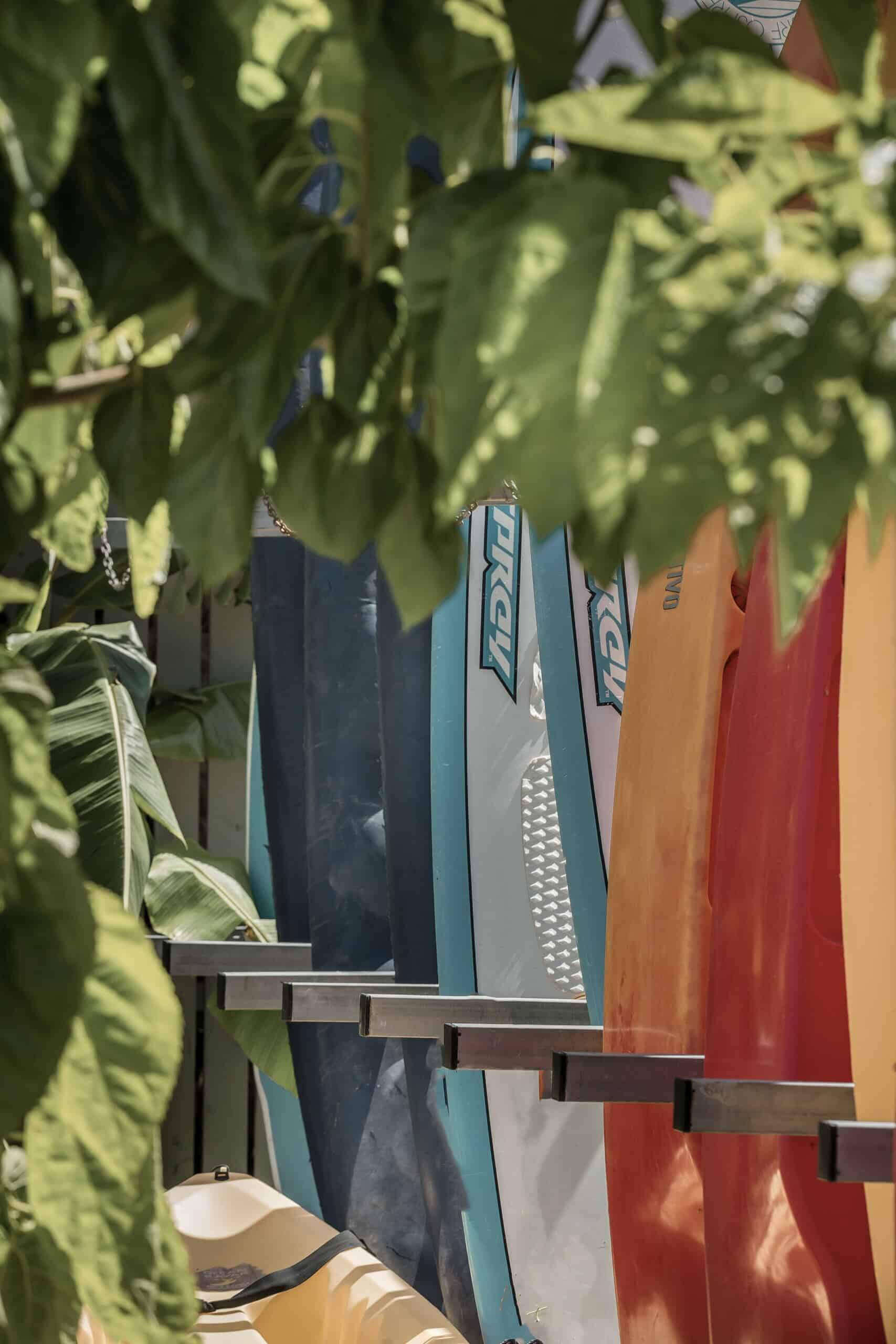 F Zeen Retreat, Europe — Colorful kitesurfing boards displayed on wooden rack beneath dappled sunlight and green foliage, showcasing adventure lifestyle aesthetic.