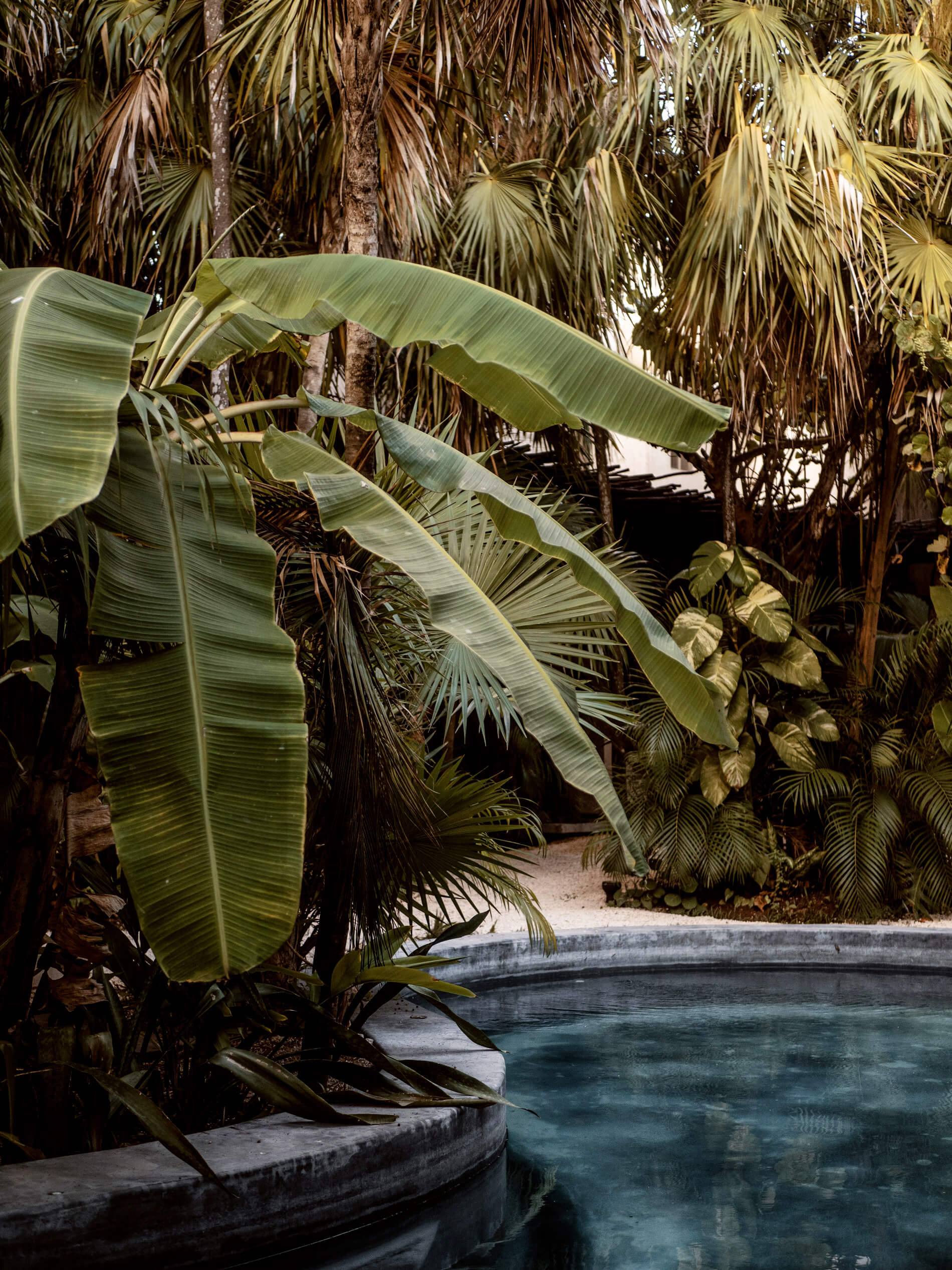 Tulum Treehouse, Mexico — Lush palms frame turquoise pool amid dense tropical foliage and concrete architecture in dappled sunlight.