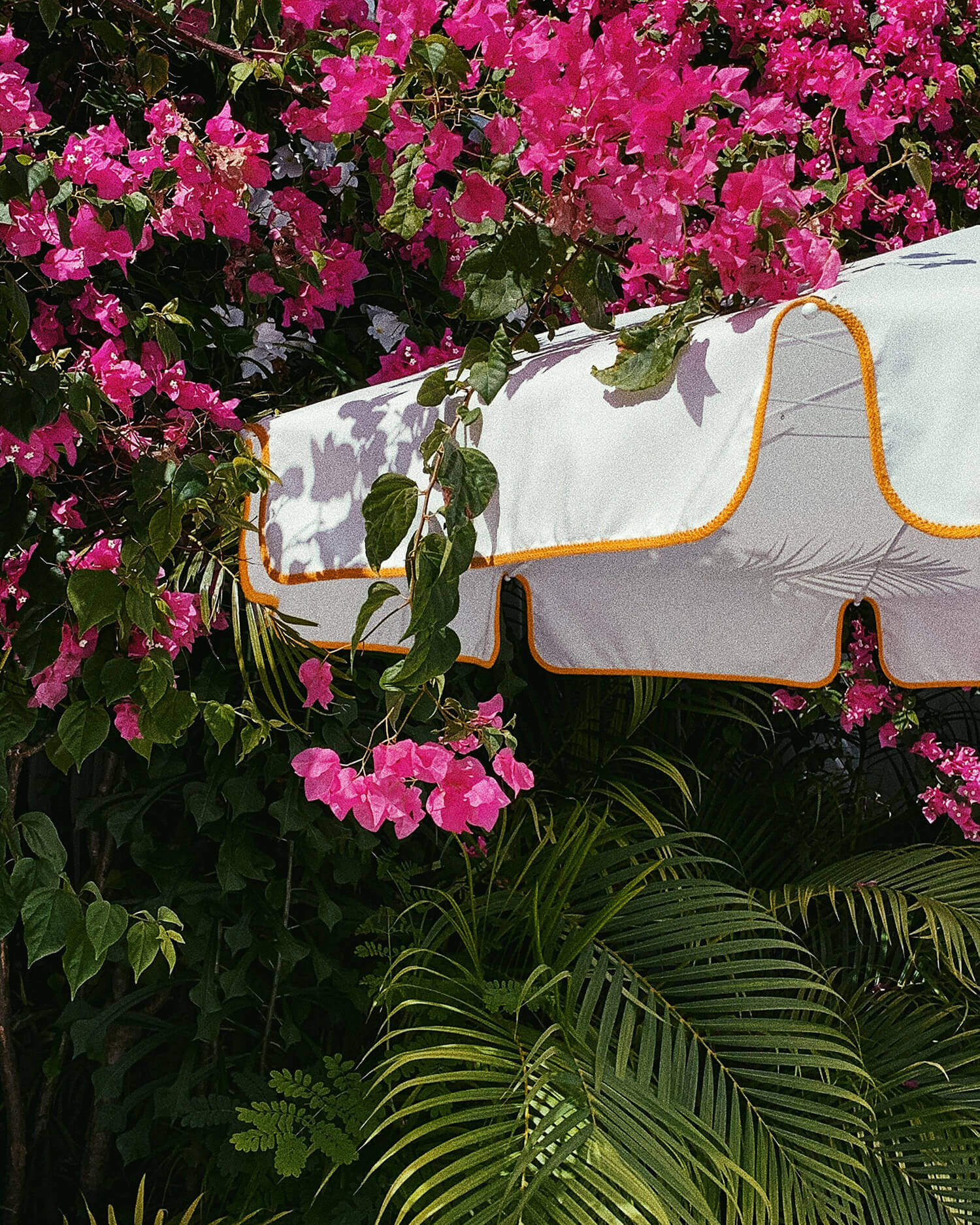 Palm Heights, North America — Linen beach towel with golden trim draped over vibrant magenta bougainvillea and tropical palms in bright sunlight.