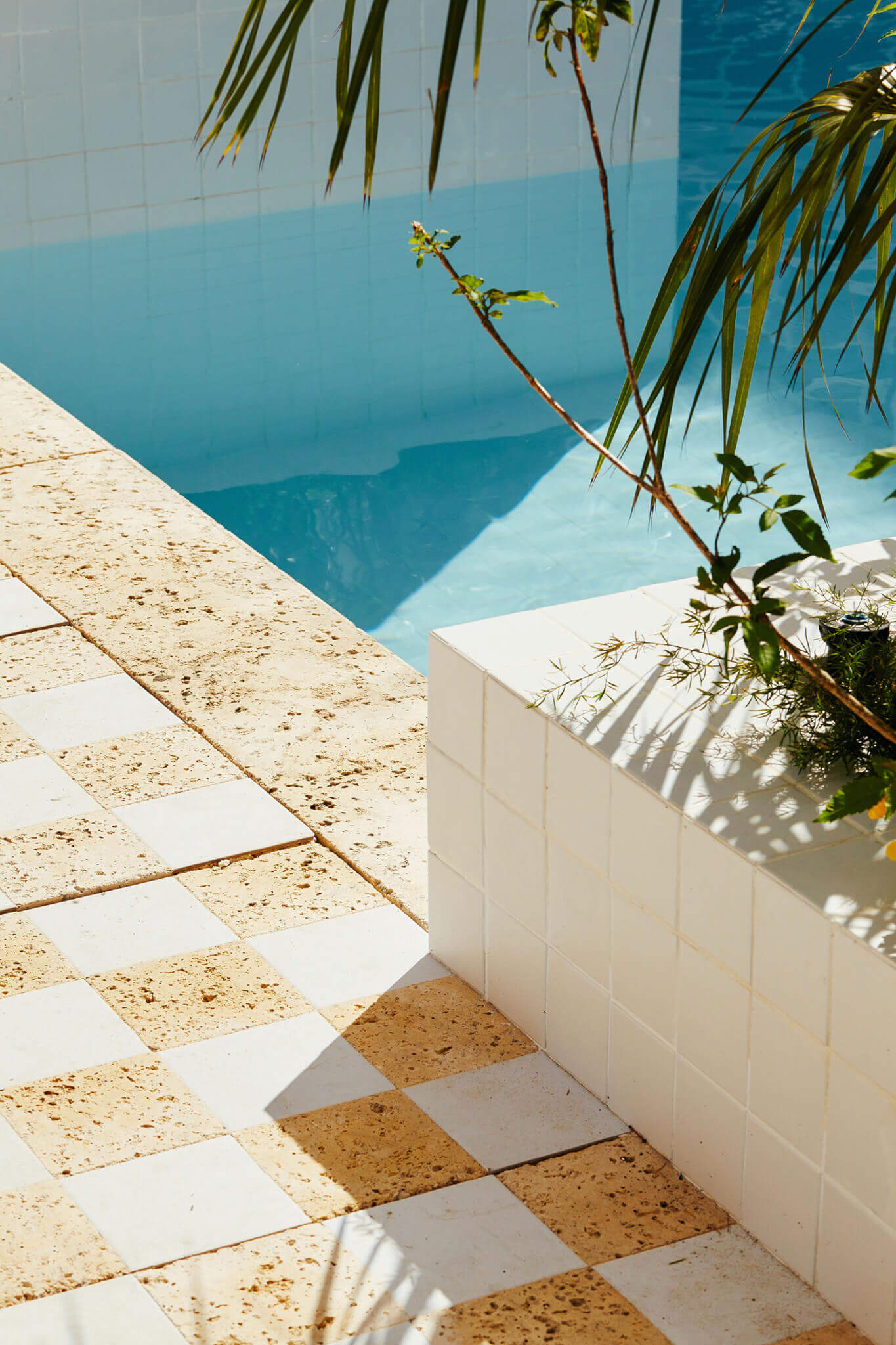 Palm Heights, North America — Geometric terracotta and white tile poolside deck with white tile planter, trailing greenery, and turquoise water beyond, morning light casting shadows.