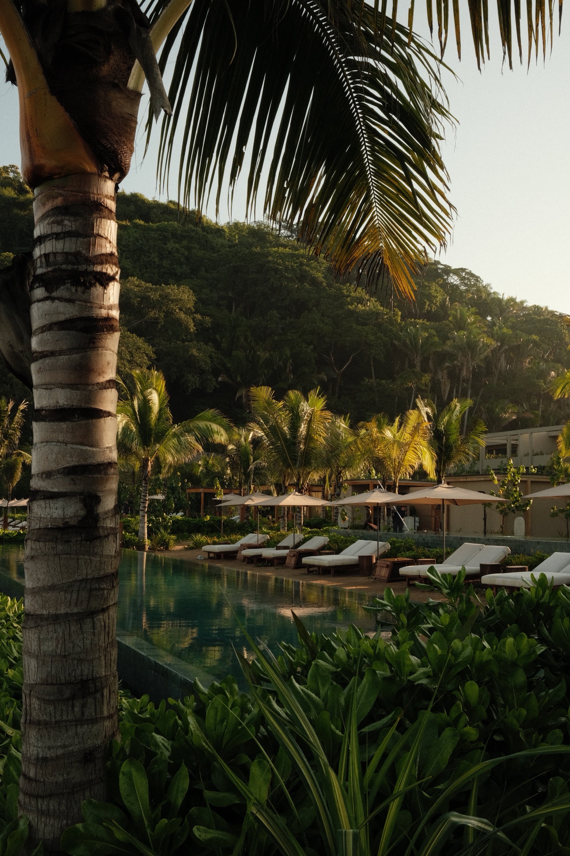 Rosewood Mandarina, Mexico — palm-shaded pool with white umbrellas in evening light, photographed by KOBU