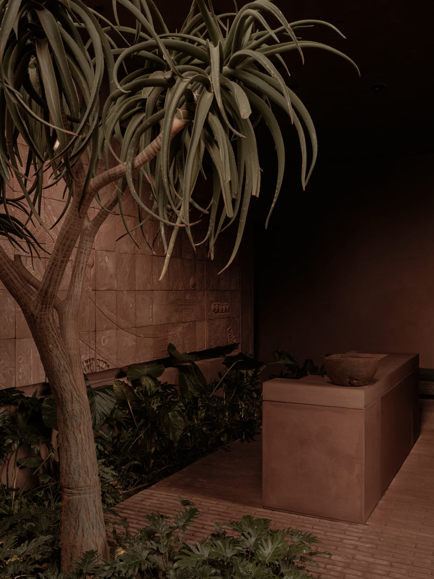 Scorpios Bodrum, Mediterranean — Terracotta courtyard with sculptural concrete planters, drooping palm fronds, and minimalist architectural details under warm ambient lighting.