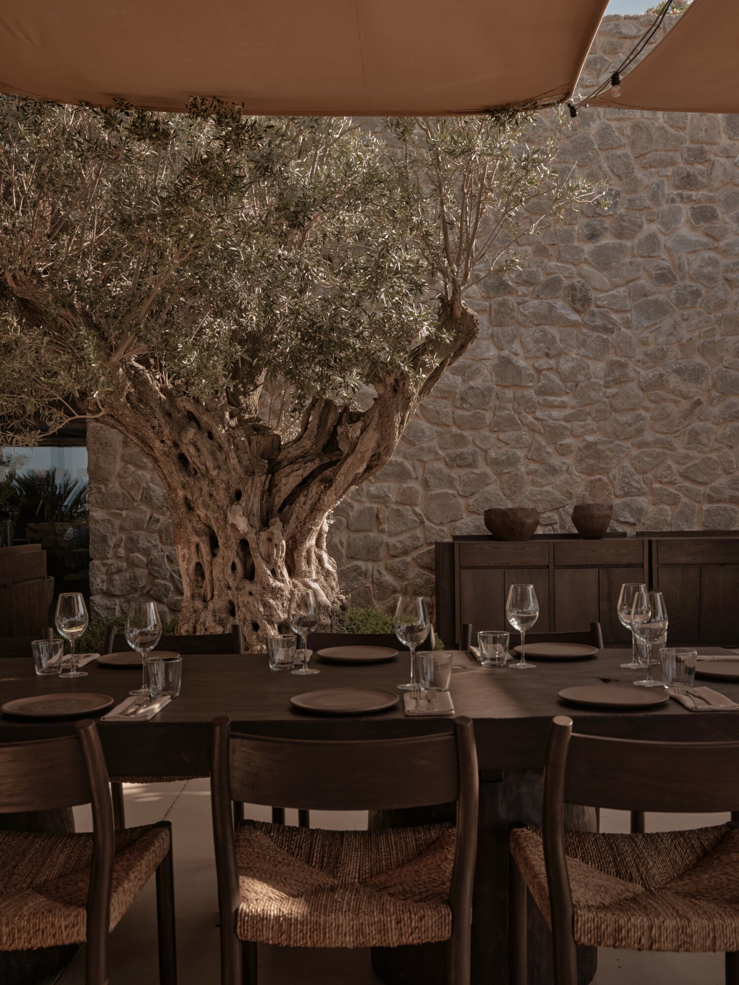 The Beach House, Mediterranean — Shaded dining terrace with ancient olive tree, stone walls, dark wood chairs, linen napkins, and canvas canopy overhead.