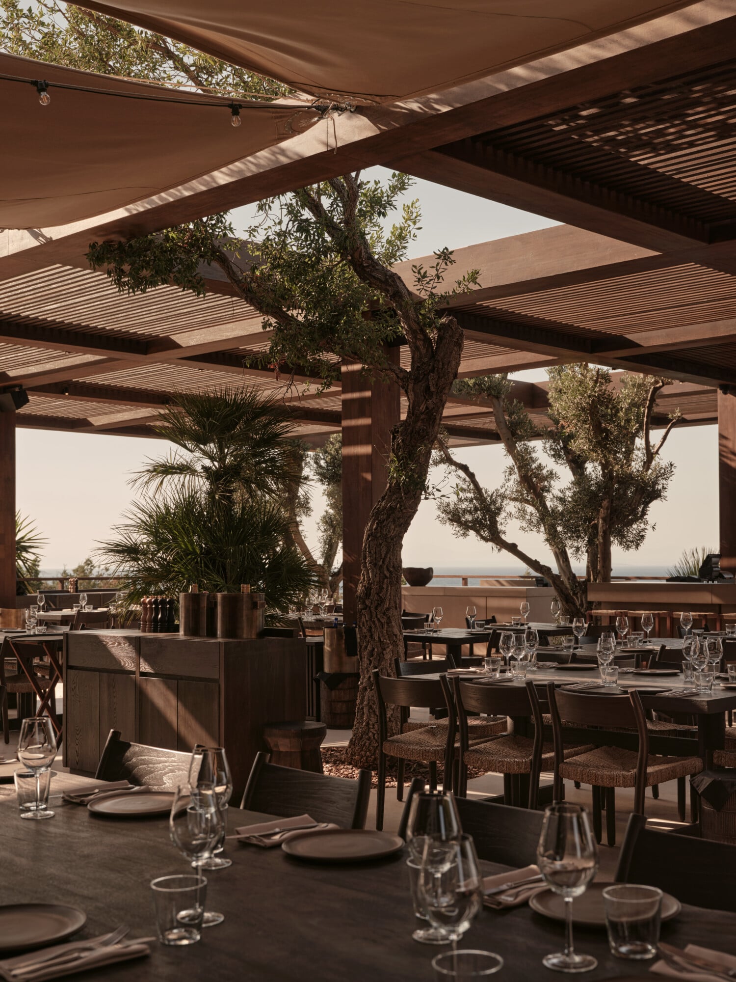 The Restaurant, Mediterranean — Pergola-shaded dining terrace with gnarled olive trees, copper beams, linen tables, and sea views at sunset.