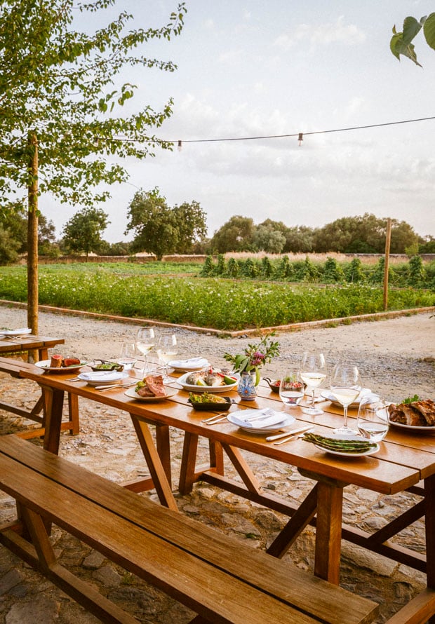 Hortelão, Europe — Long wooden farm table set with white linens and fresh cuisine overlooking cultivated vegetable fields under open sky.
