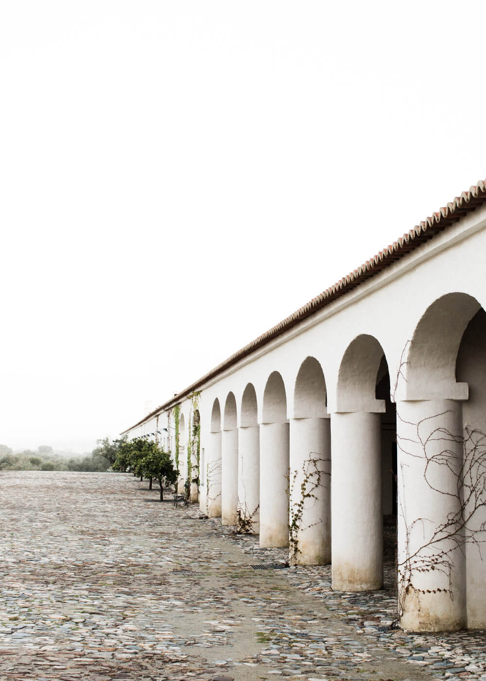 São Lourenço do Barrocal, Portugal — Whitewashed stone arches with terracotta roof edge, ivy climbing columns, overcast sky, minimalist architecture and landscape.
