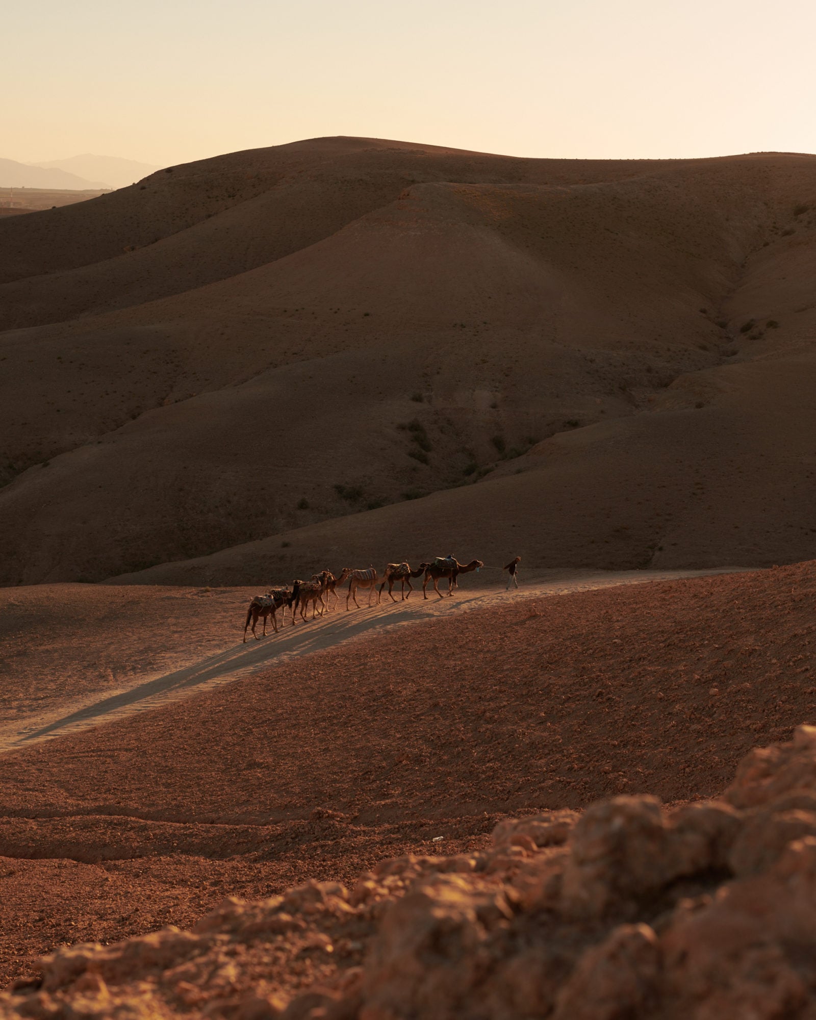 Scarabeo Camp, Africa — Camel caravan traversing desert sand dunes at golden hour, minimalist landscape with rolling terrain and distant mountains.