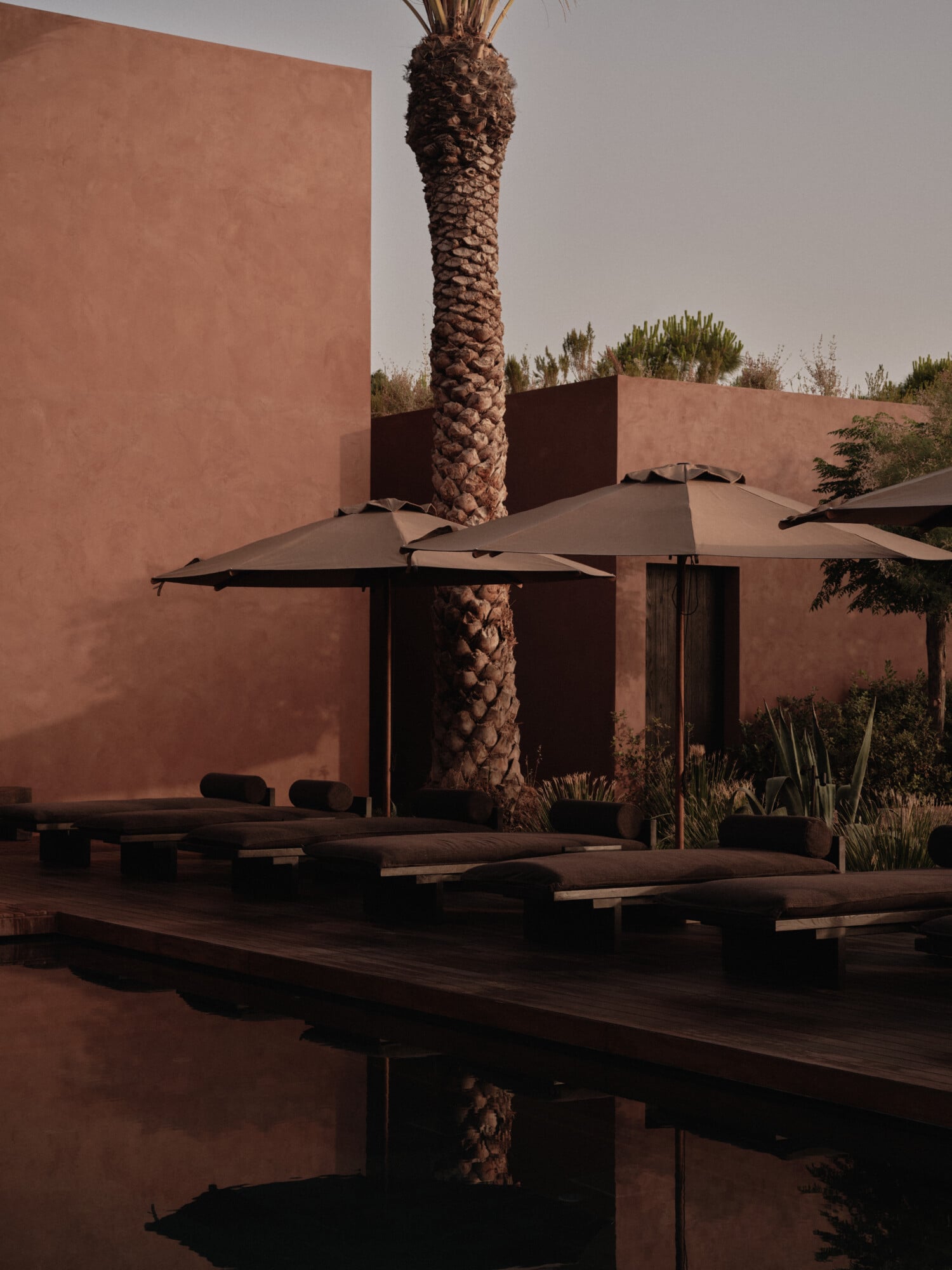 The Evolution of Wellbeing: Scorpios' Transition into Wellness — Terracotta courtyard with palm trunk, dark umbrellas, wooden platforms, and minimalist architecture under warm light—luxury wellness resort design.