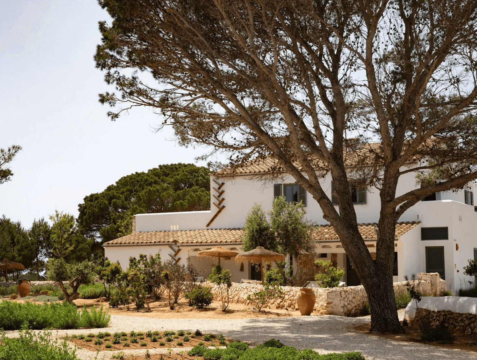 Menorca Experimental, Balearic Islands, Spain — Mediterranean villa with whitewashed walls, terracotta tile roof, mature stone pines, and minimalist courtyard garden with limestone terracing.