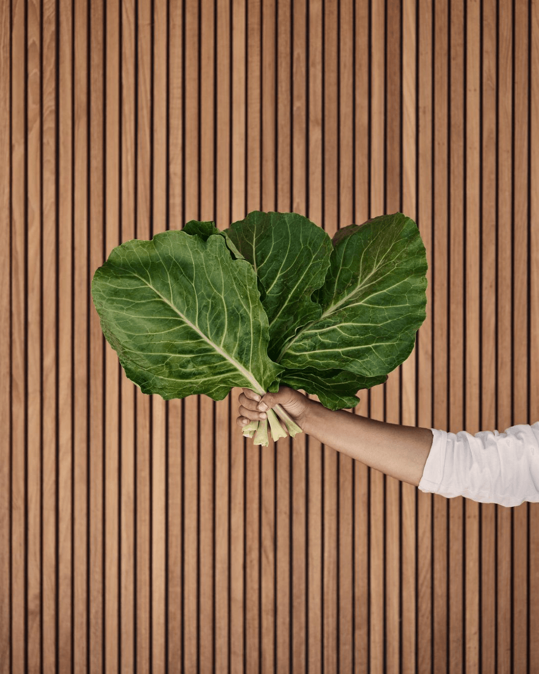 Patina Maldives, Asia — Hand holding fresh leafy greens against warm wood-slat backdrop, minimal luxury food styling.