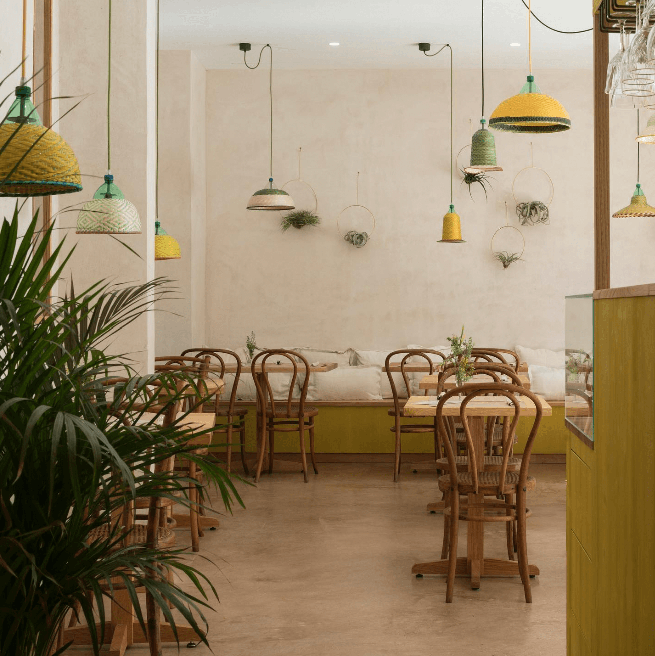 RE Organic, Balearic Islands, Spain — Minimalist café interior with pendant lighting, potted air plants, bentwood chairs, olive-green cabinetry, and cream walls.