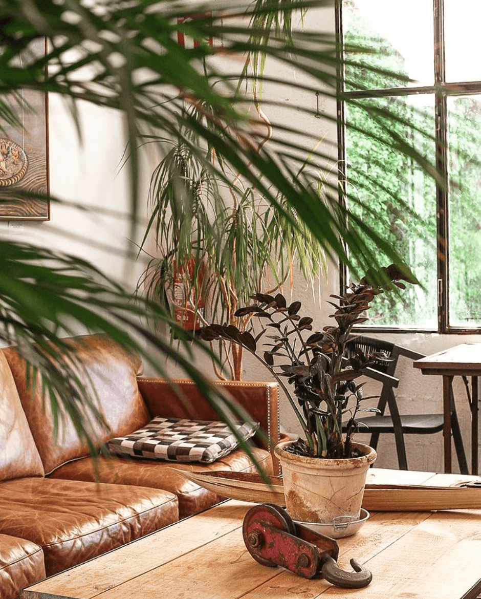 Es Taller Valldemossa, Balearic Islands, Spain — Sunlit interior with cognac leather sofa, potted plants casting shadows on white walls, wooden floors, large windows overlooking greenery.