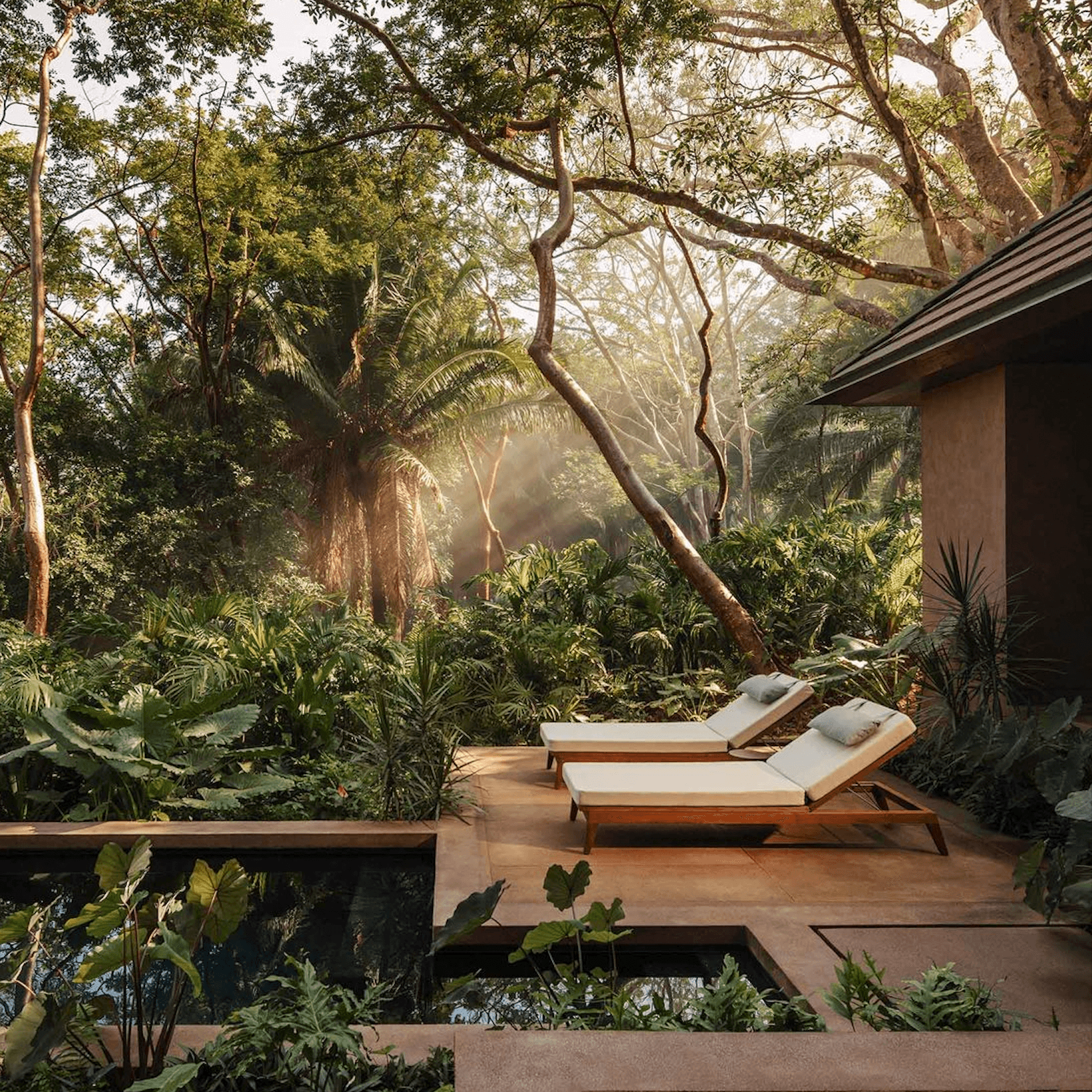 One&Only Mandarina, Mexico — Teak loungers on wooden deck overlooking jungle canopy with morning mist filtering through ancient trees and palm fronds.
