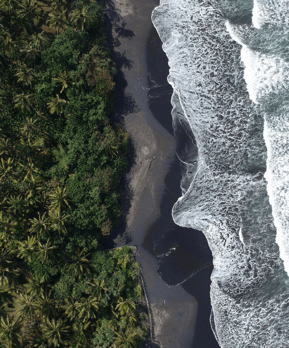 Medewi, Bali, Indonesia — Aerial view of black sand beach with palm trees and white-capped waves meeting lush tropical coastline.