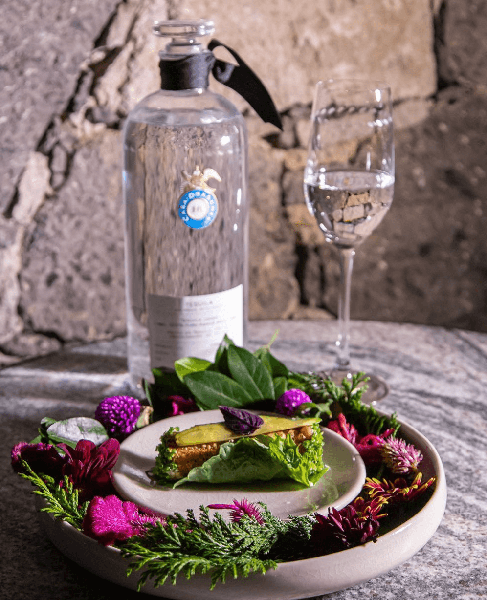 Casa Dragones Tequila Tasting, Mexico — Plated avocado and greens garnished with purple flowers, water glass, and tequila bottle against rustic stone wall.