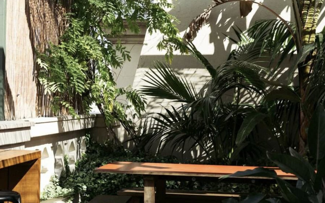 Chiringuito, Europe — Lush indoor courtyard with trailing vines, palm fronds, wooden bench, and dappled natural light filtering through architectural louvers.