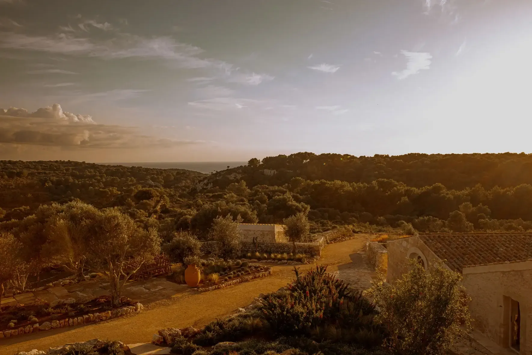 Son Blanc Farmhouse, Balearic Islands, Spain — Terracotta courtyard with olive trees, stone architecture, and forested hillside at golden hour.