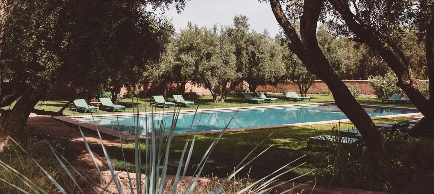 Berber Lodge, Africa — Rectangular lap pool framed by mature olive trees, with turquoise water reflecting sky, lounge chairs, terracotta walls, and drought-resistant plantings.
