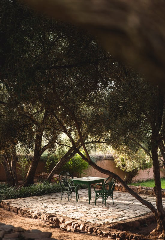 Berber Lodge, Africa — Shaded olive grove courtyard with stone terrace, black metal chairs, and table beneath dappled golden light filtering through gnarled tree canopy.