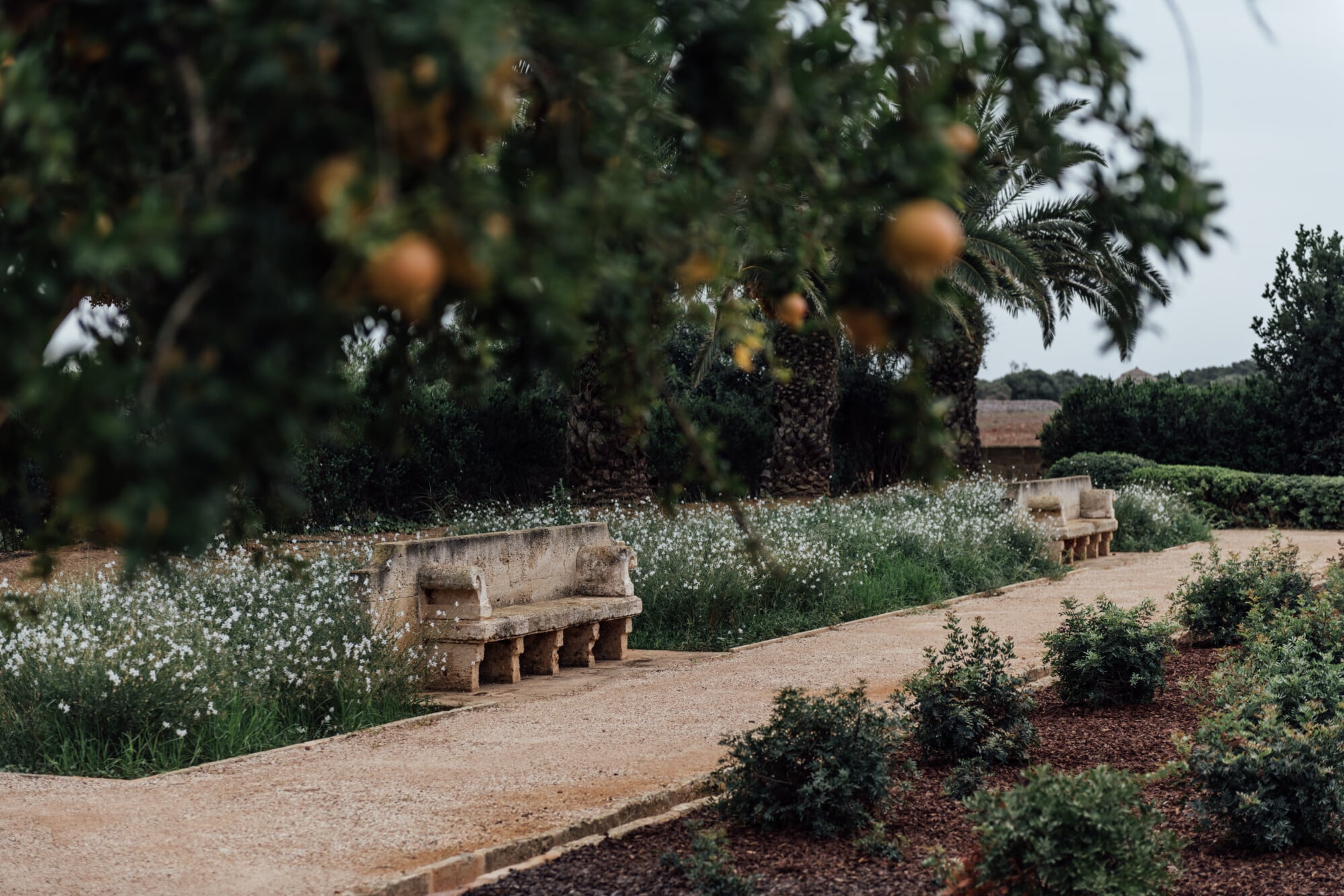 Son Vell, Balearic Islands — Stone bench beneath fruit trees in Mediterranean garden with flowering plants, terracotta pathways and countryside views.