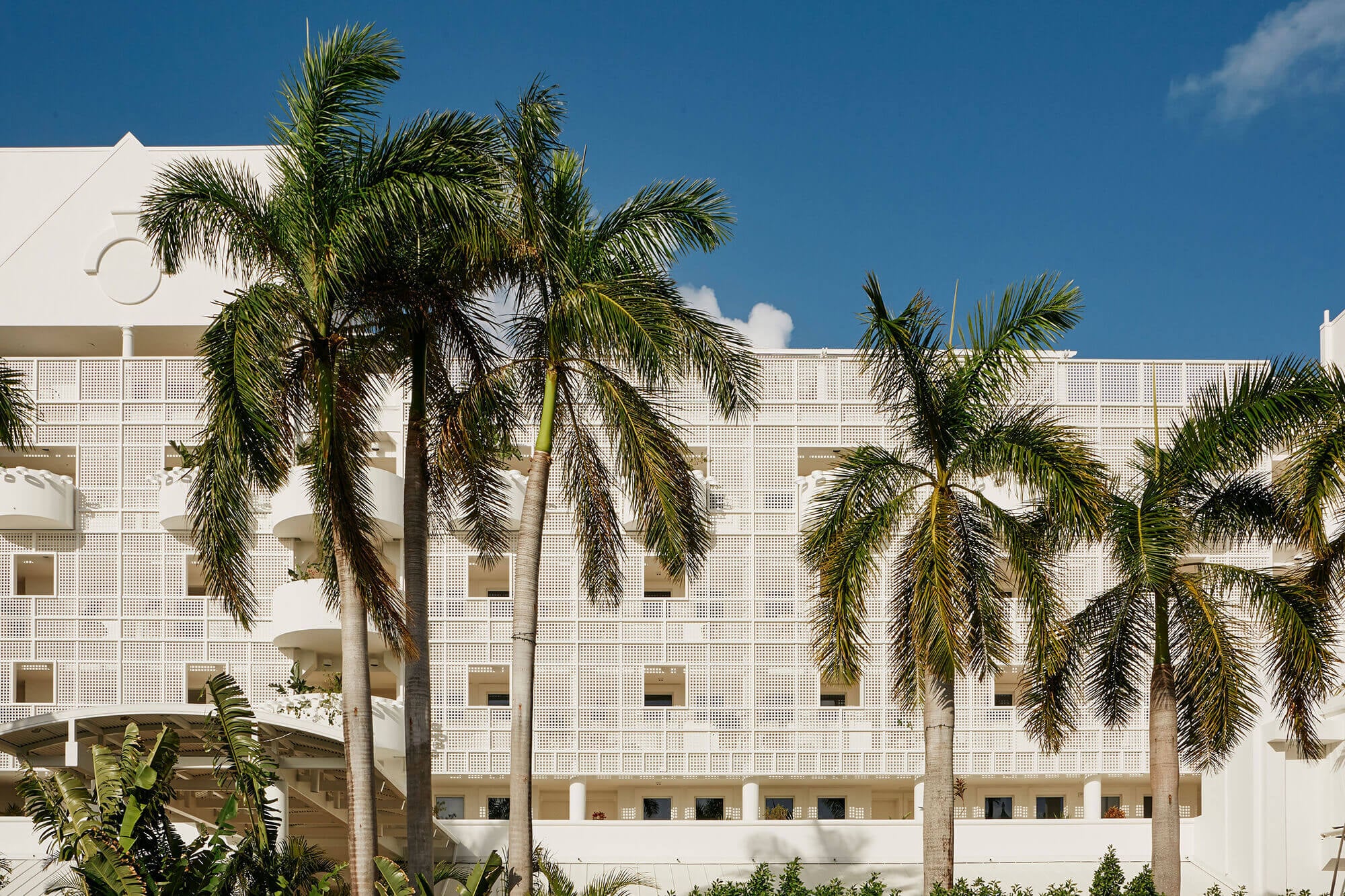 Palm Heights, North America — Modernist white building with geometric lattice facade, tall palm trees, clear blue sky, minimalist luxury resort architecture.
