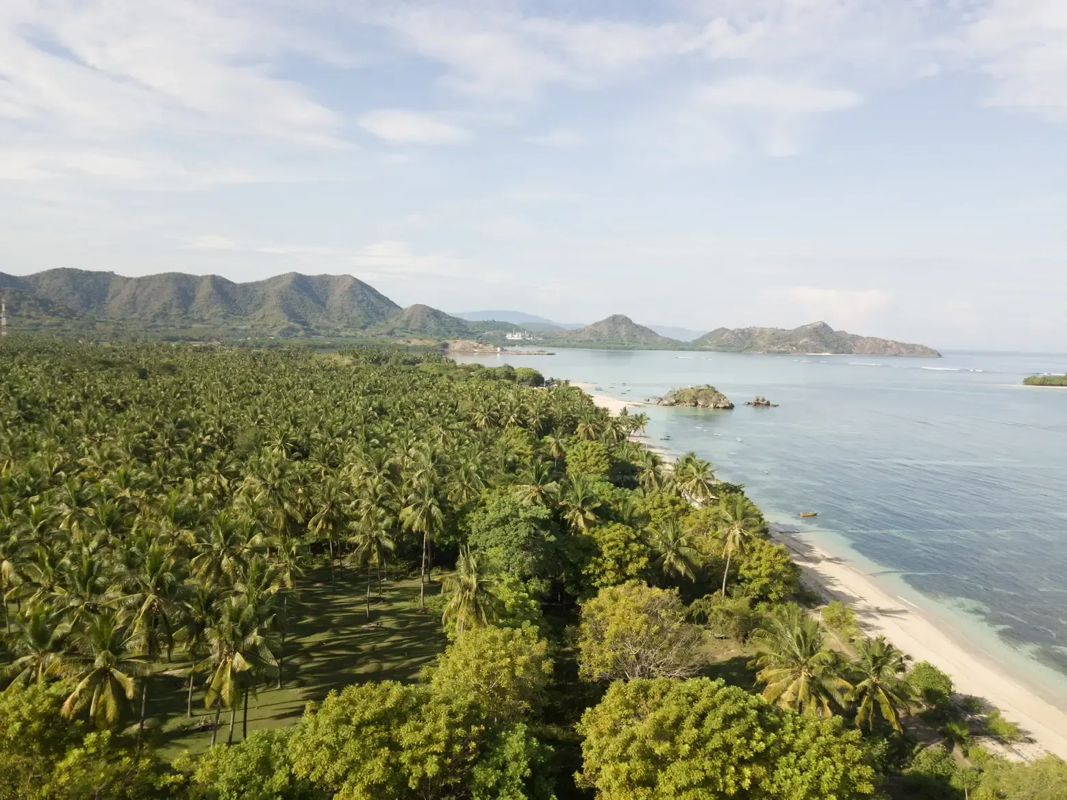 Somewhere Lombok, Indonesia — Lush tropical coastline with coconut palms, white sand beach, turquoise waters, and volcanic peaks under soft daylight.