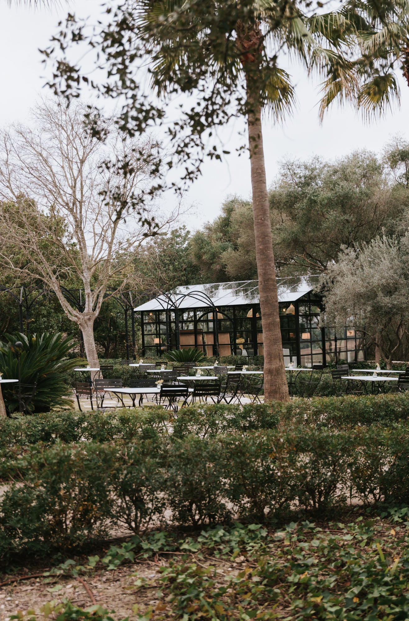 Finca Serena, Balearic Islands — Contemporary glass pavilion with black steel framing nestled among mature palms and olive trees, outdoor dining tables visible through landscaped garden.