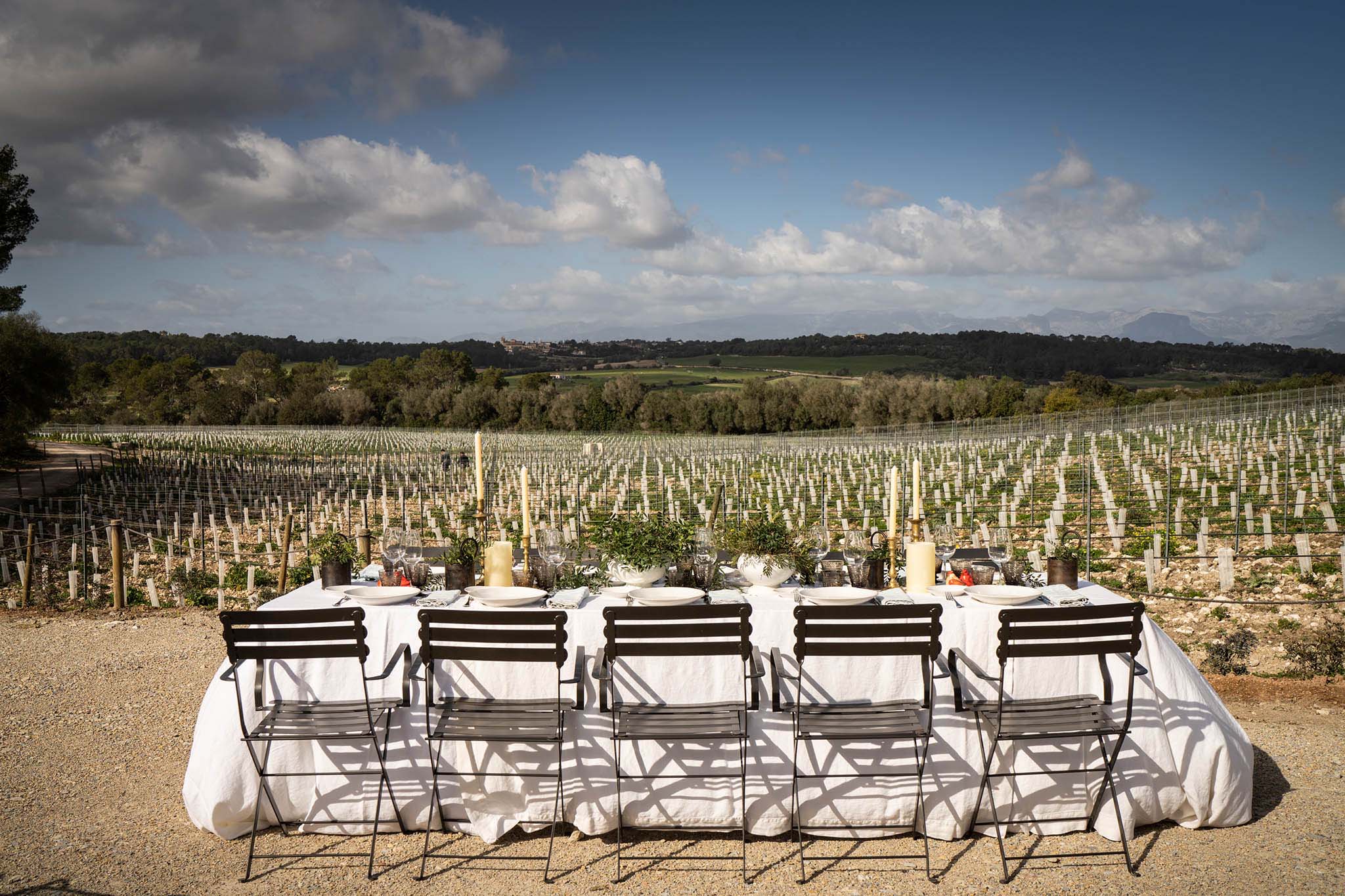 Finca Serena, Balearic Islands — Outdoor dining table overlooking vineyard rows, Mediterranean landscape, natural light and shadow.