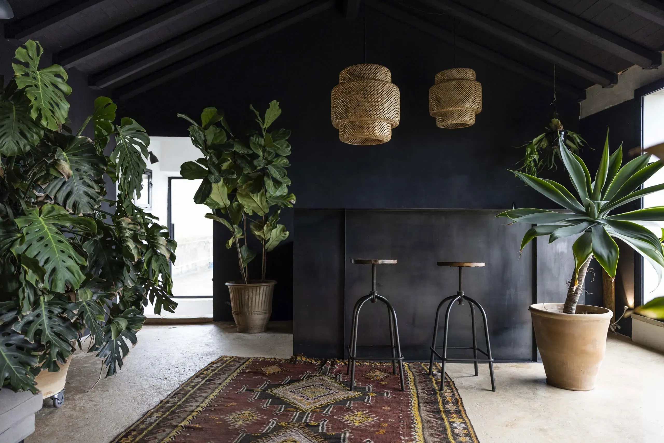 Palazzo Daniele, Europe — Black-walled hospitality space with woven pendant lights, potted plants, bar stools, patterned runner rug, and natural daylight from windows.