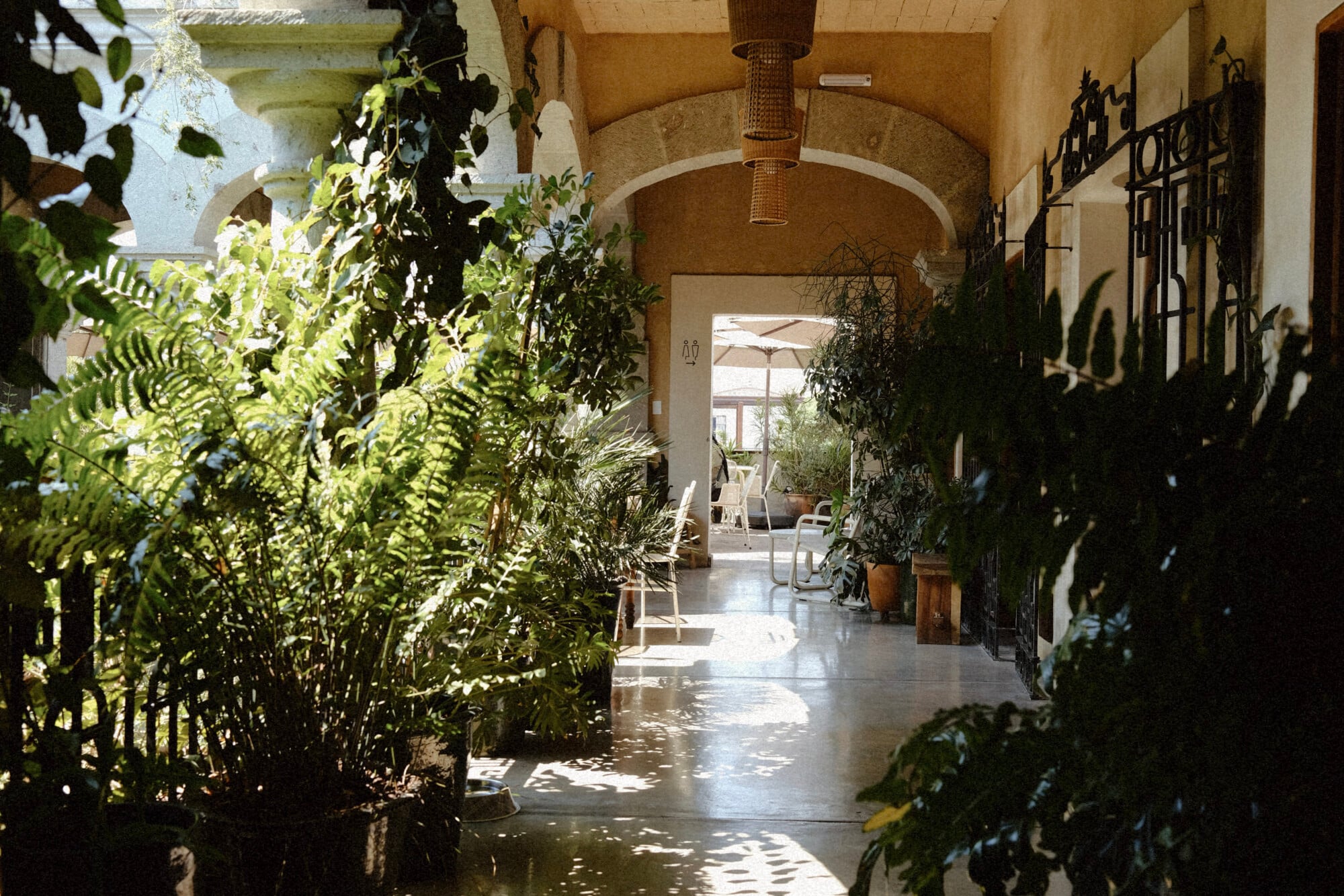 Casa Antonieta, Mexico — Arched stone corridor with lush potted plants, ornate iron gates, and dappled sunlight on polished floors.