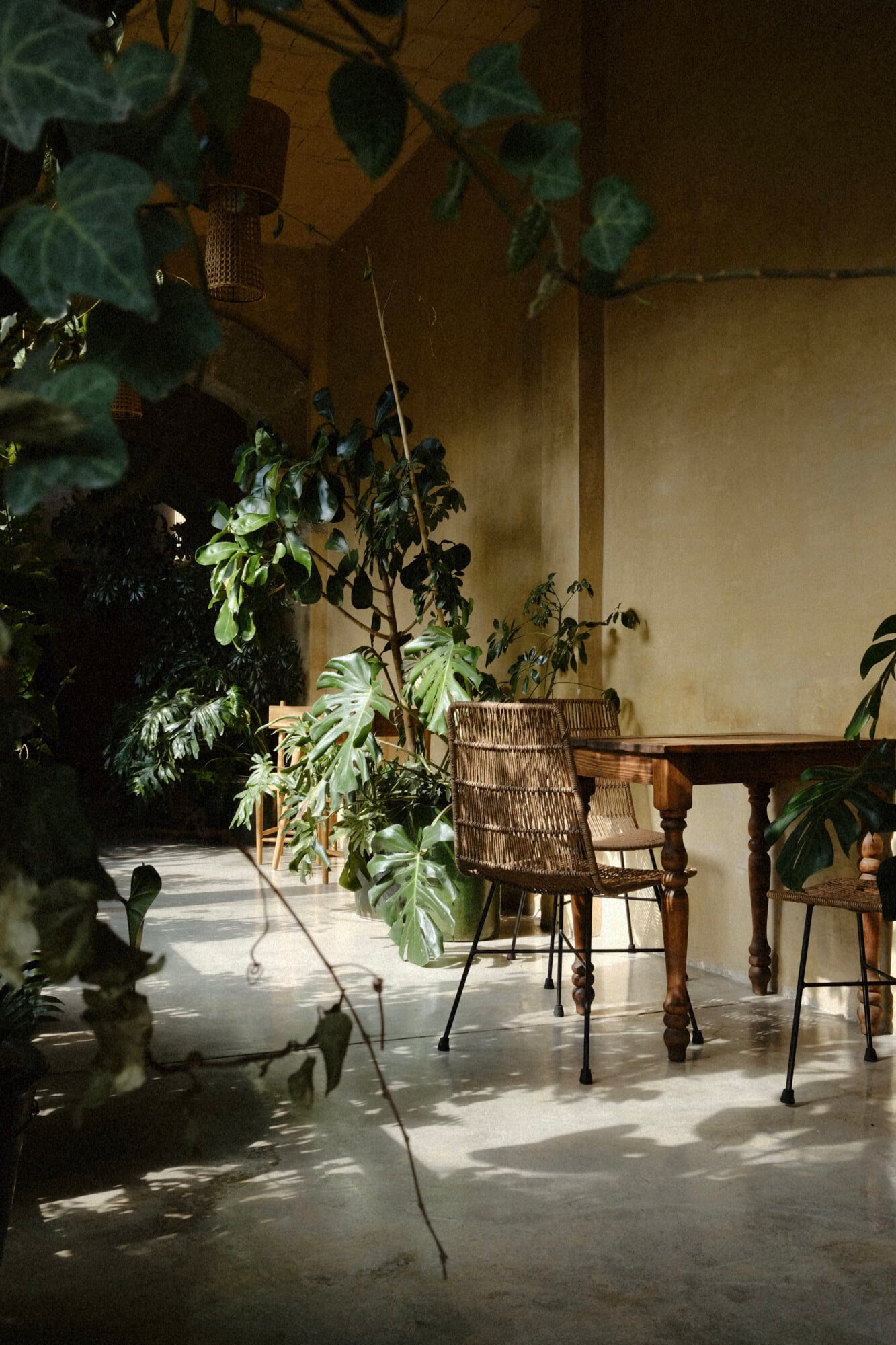 Casa Antonieta, Mexico — Covered terrace with woven chairs, wooden table, and cascading ivy under natural light, concrete flooring and ochre walls.