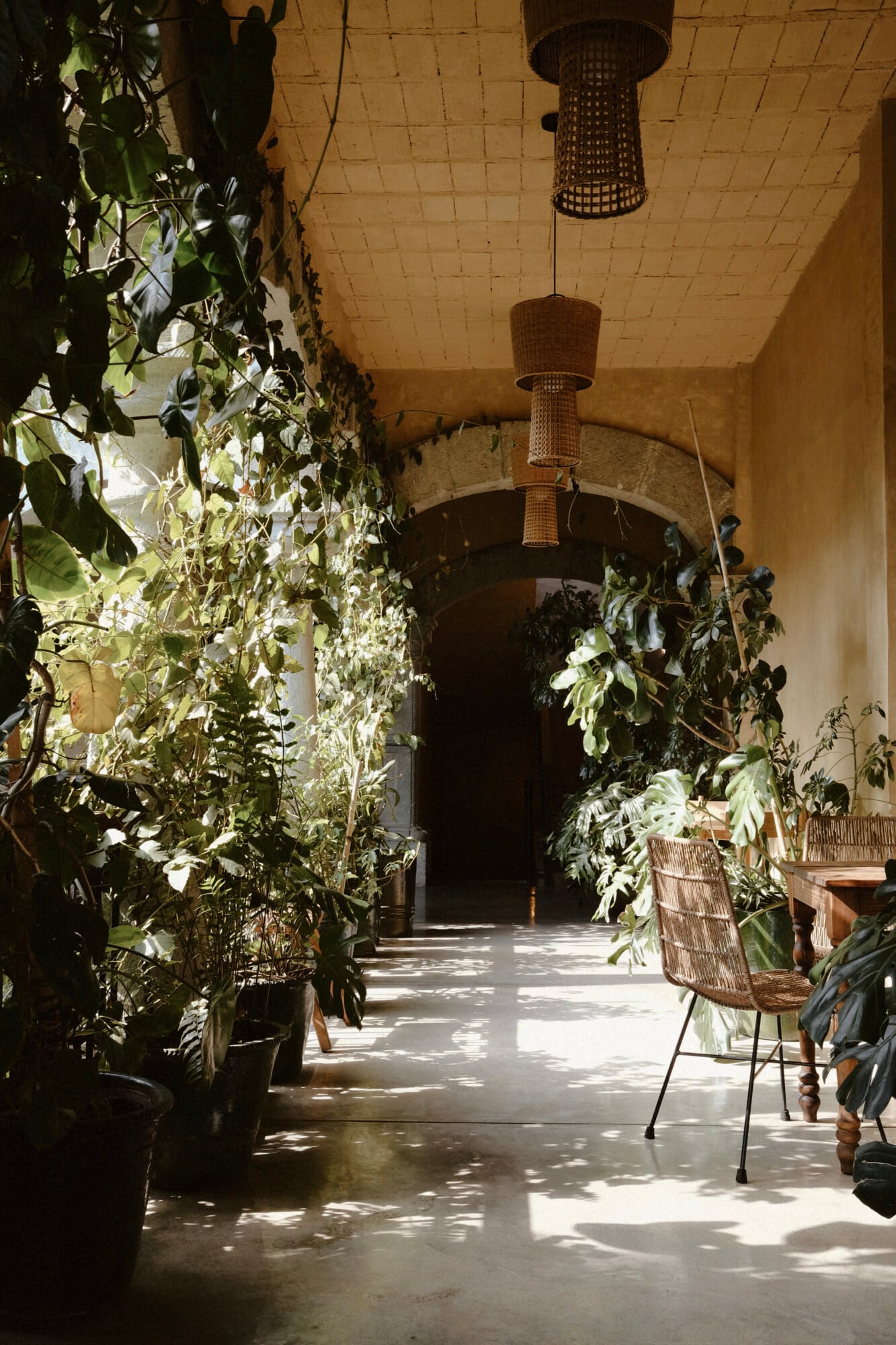 Amá Terraza, Mexico — Covered corridor with climbing vines, woven pendant lights, and dappled sunlight casting geometric shadows on polished concrete floor.