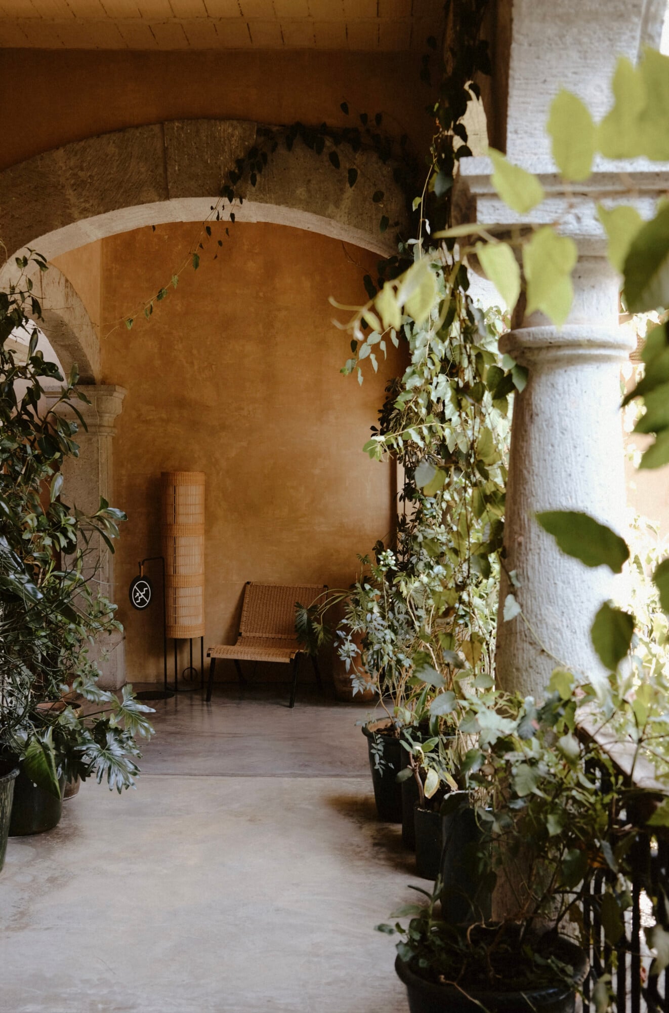 Casa Antonieta, Mexico — Arched stone corridor with climbing ivy, terracotta walls, and woven chair in dappled light.