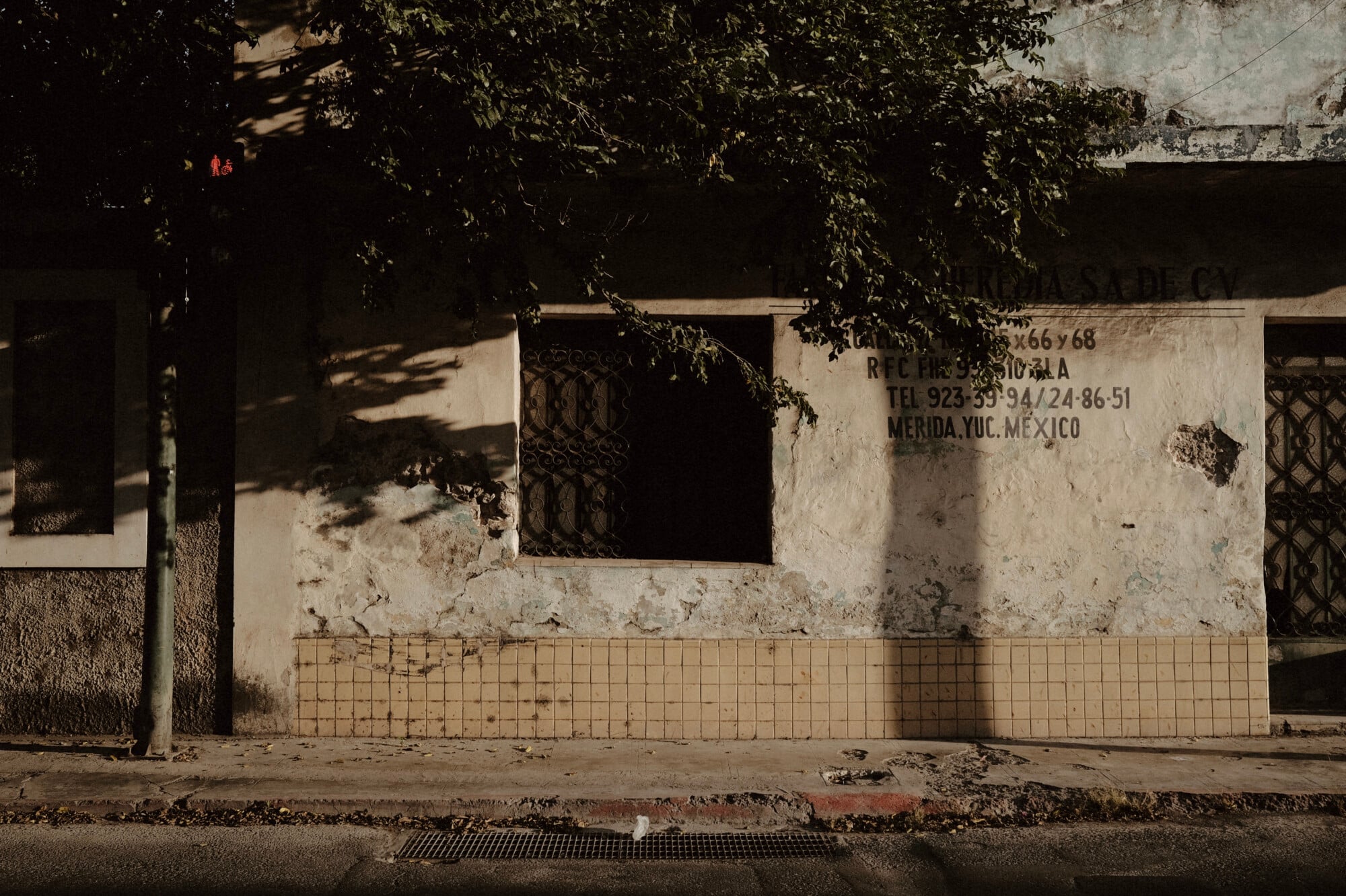 Casa Lohr, Mérida, Mexico — Weathered white stucco facade with tile base, overgrown vines, deep shadows, and colonial architecture detail.