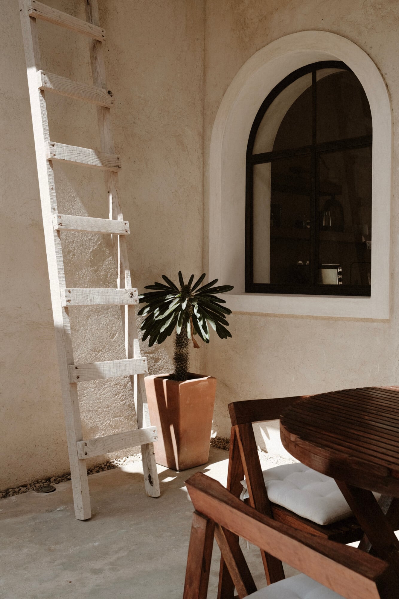 Casa Lohr, Mexico — Minimalist courtyard with white-washed walls, arched window, wooden lounger, potted black flower, and white ladder in bright sunlight.