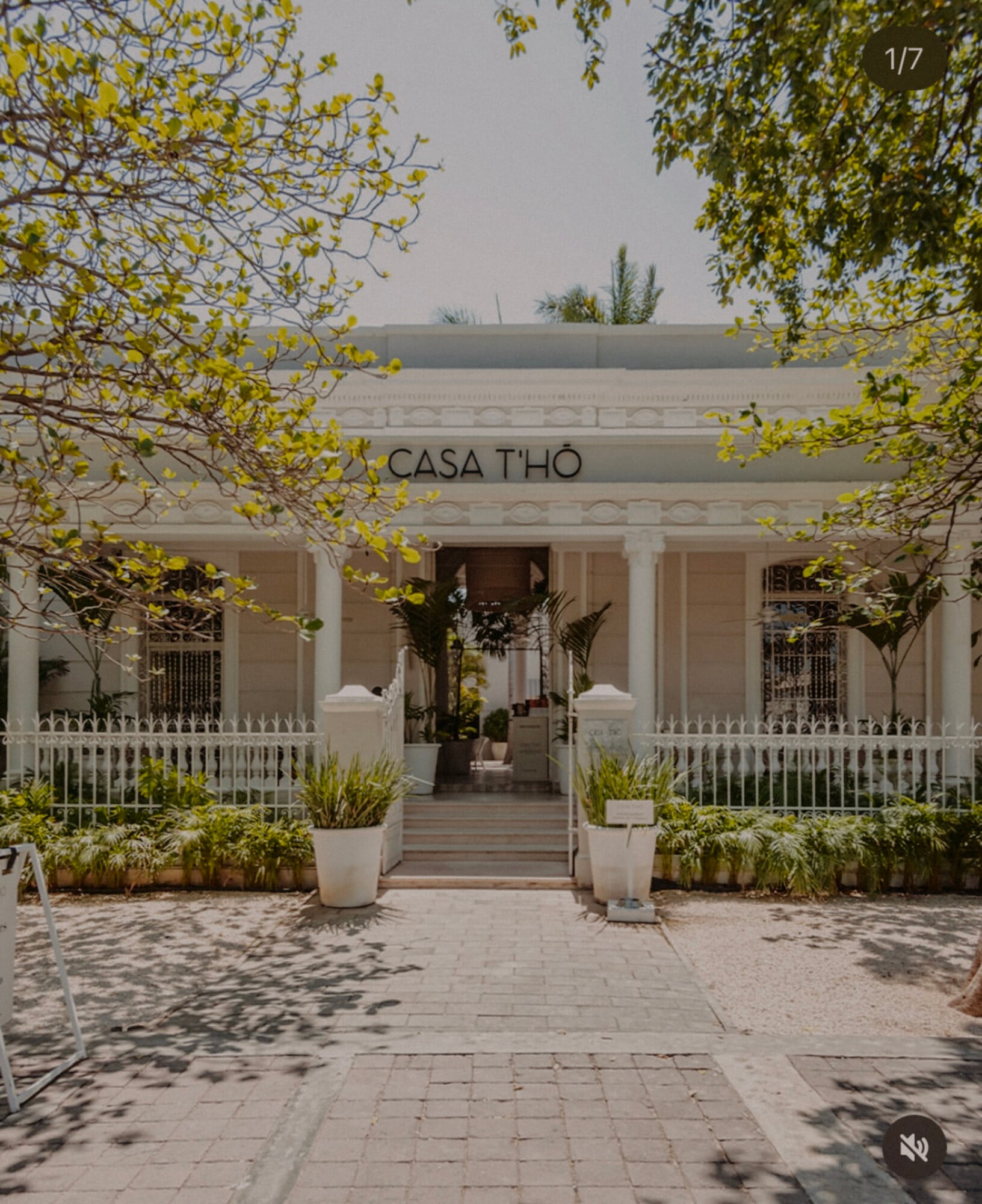 Casa T´HŌ Concept House — Casa T'HŌ Concept House, Mexico — Minimalist white facade with columned portico, tropical plants in stone planters, dappled sunlight through yellow-green foliage, geometric paving approach.