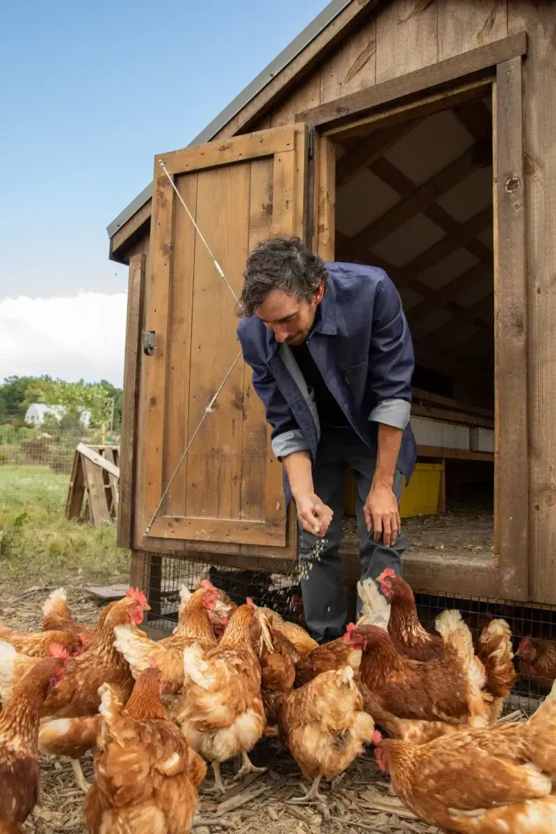 Wildflower Farms Experiences, North America — Man in navy blazer feeding brown hens from wooden mobile coop, rural pastoral setting with clear sky.
