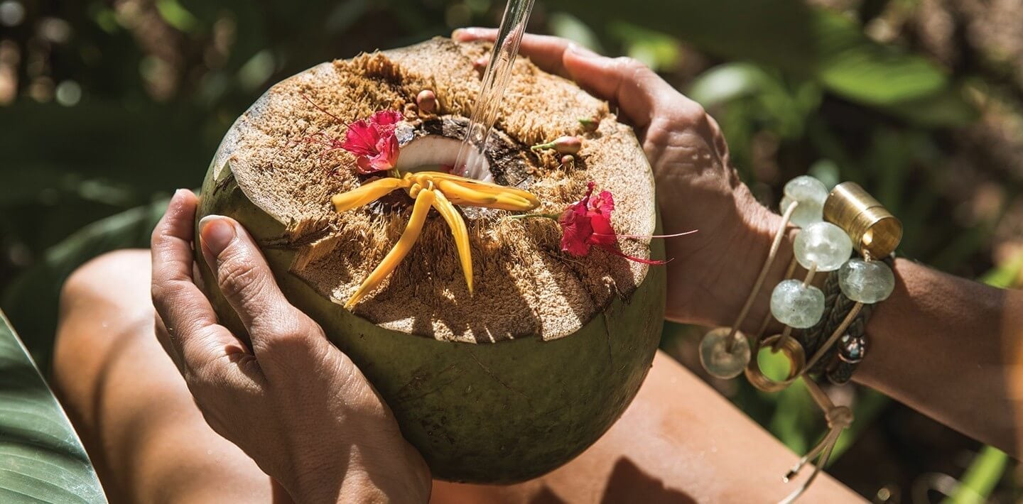 Islas Secas — Hands holding coconut drink garnished with flowers and tropical fruit in lush island garden setting.